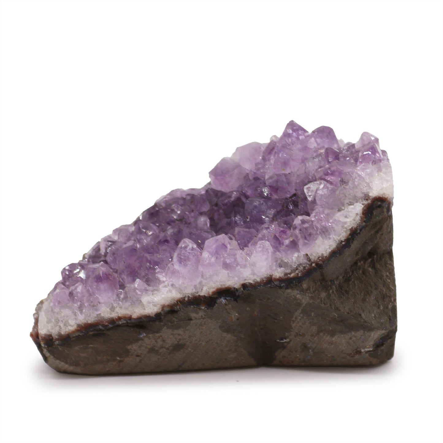 Ein natürlicher Amethyst-Cluster mit violetten Kristallen auf einem dunklen Stein.