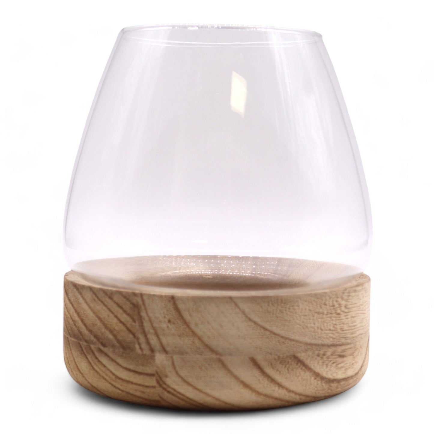 Glass terrarium with a natural wood base.