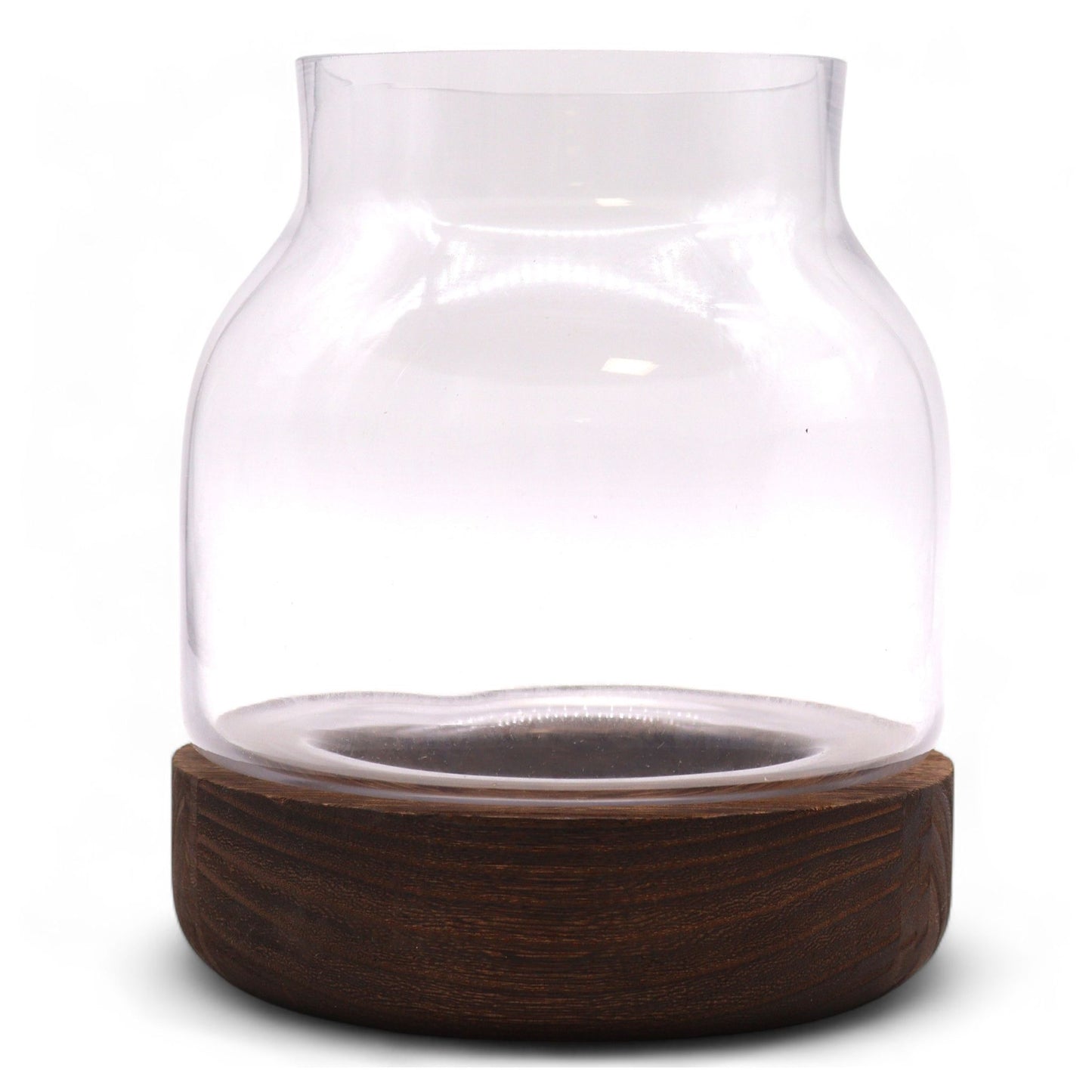 Medium shaped glass terrarium with a dark tung wood base.
