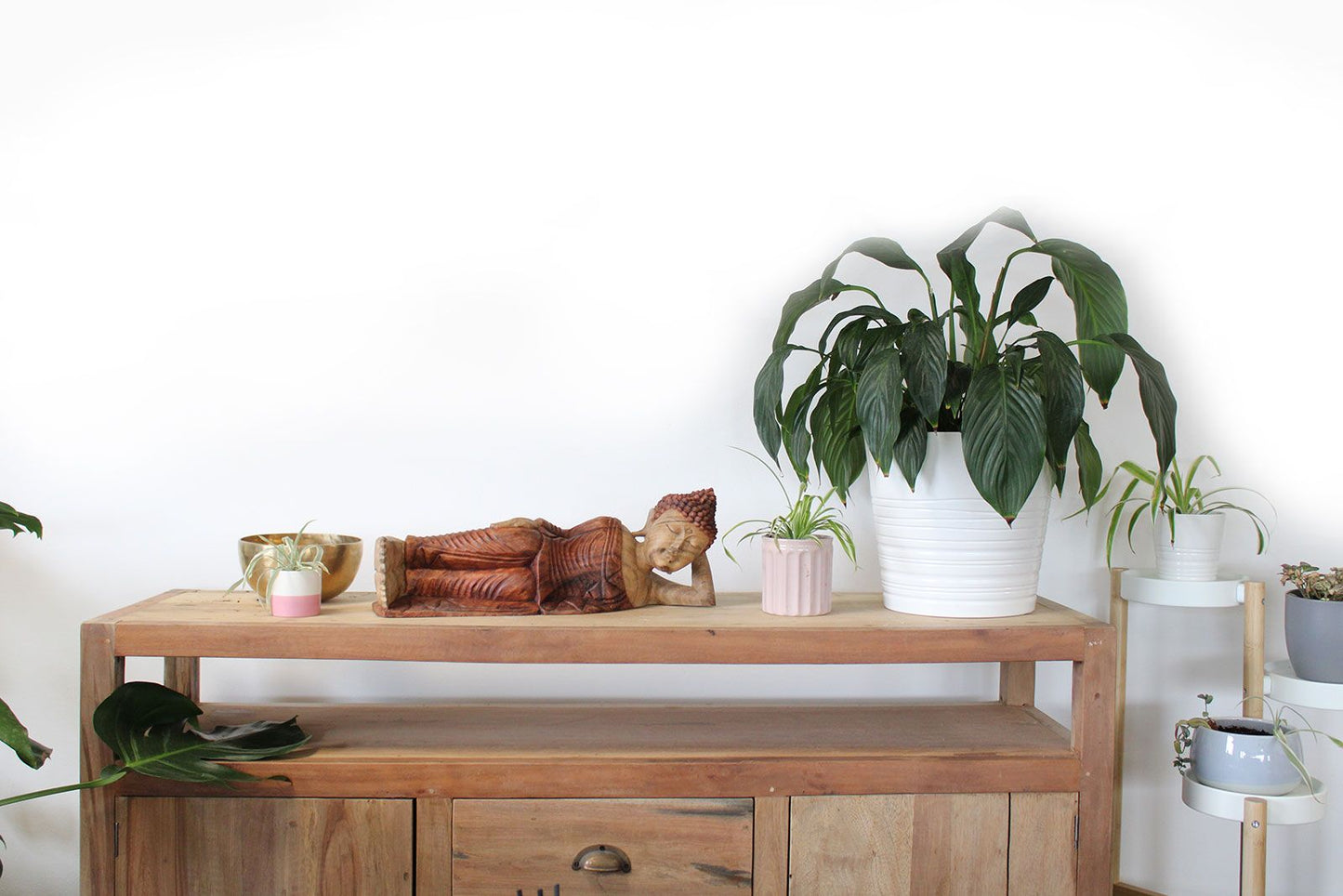 Hand carved wooden sleeping Buddha statue on a wooden shelf with plants.