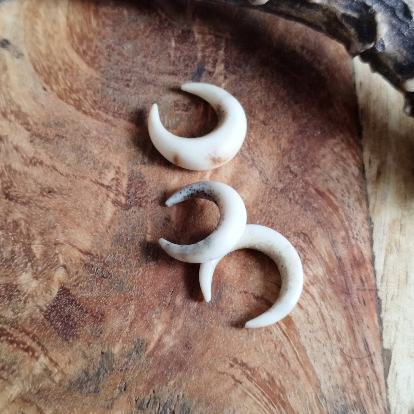 Handgeschnitzte Septumpiercings aus Hirschgeweih - Flow of Passion