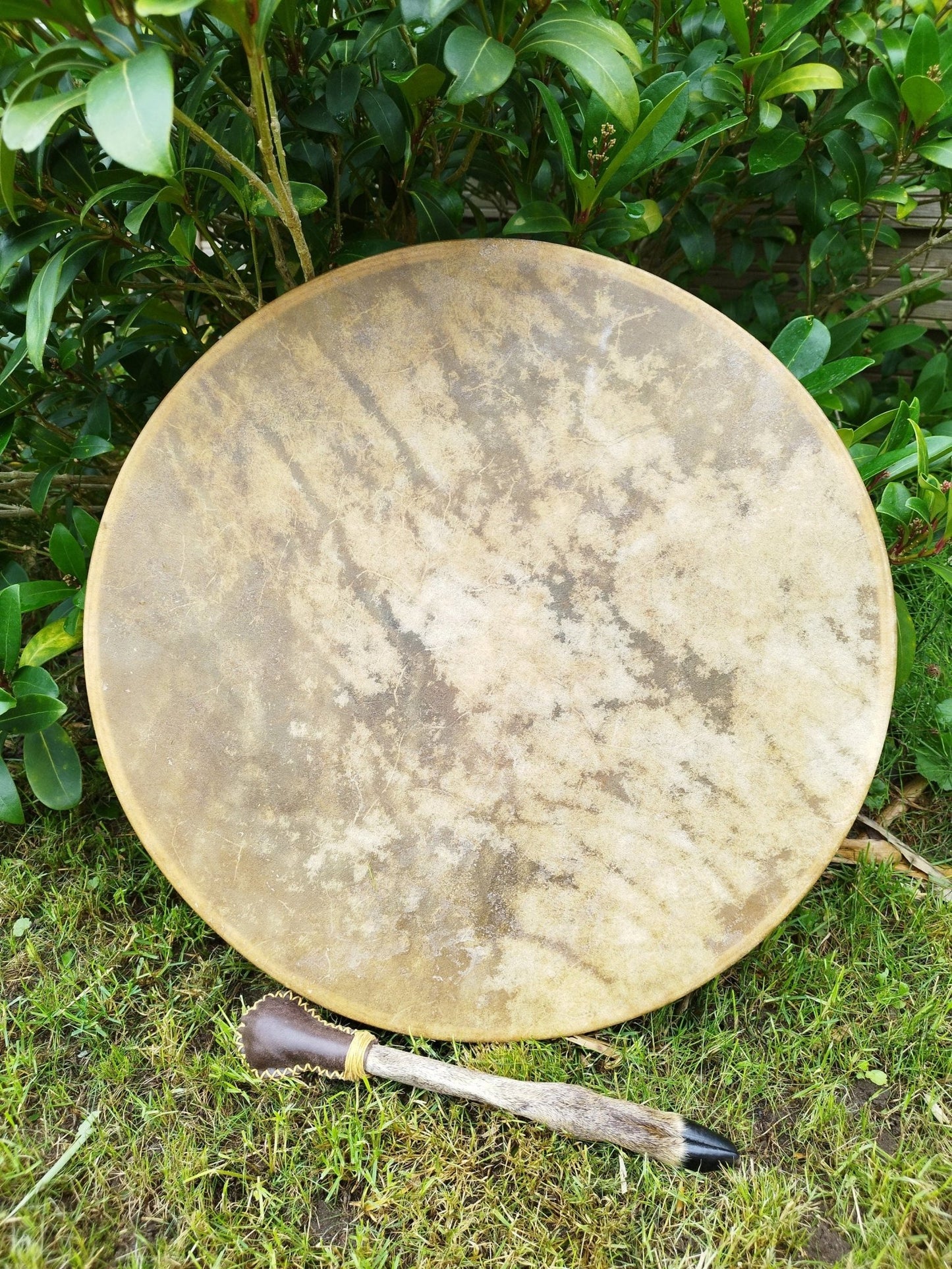 XL Stimmbare Schamanische Trommel mit Stimmperlen aus Achat, Rinderhaut und Esche 50cm - Flow of Passion