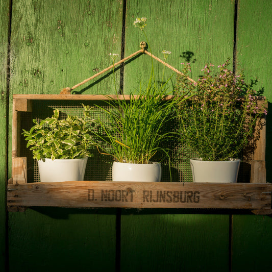 Breites Gartenregal aus Zwiebelsieb