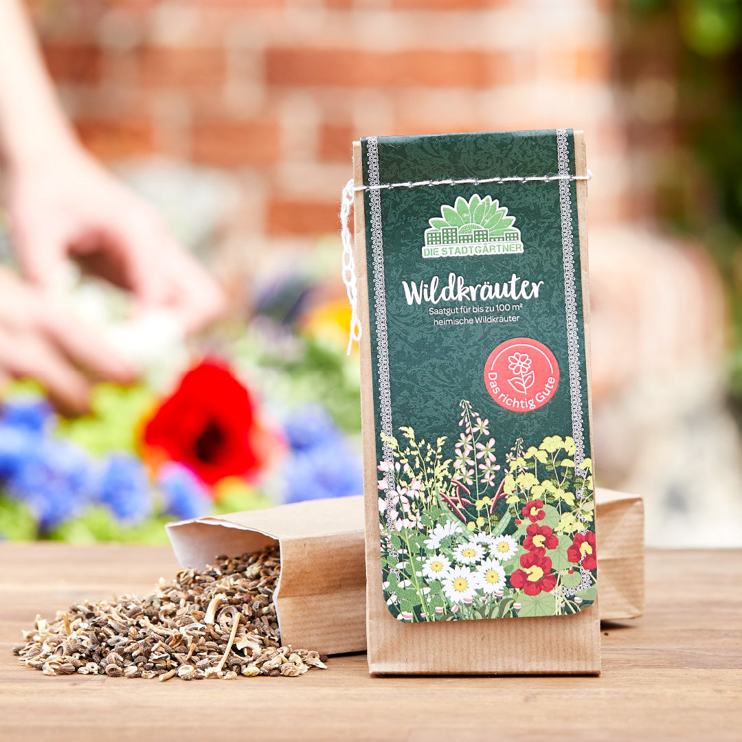 100 g Wildkräuter-Saatgut