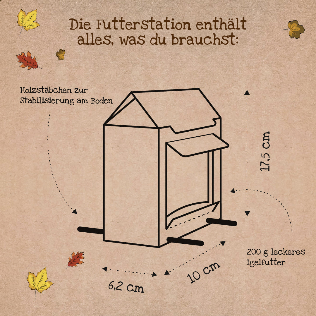 Freiluftbuffet für Igel