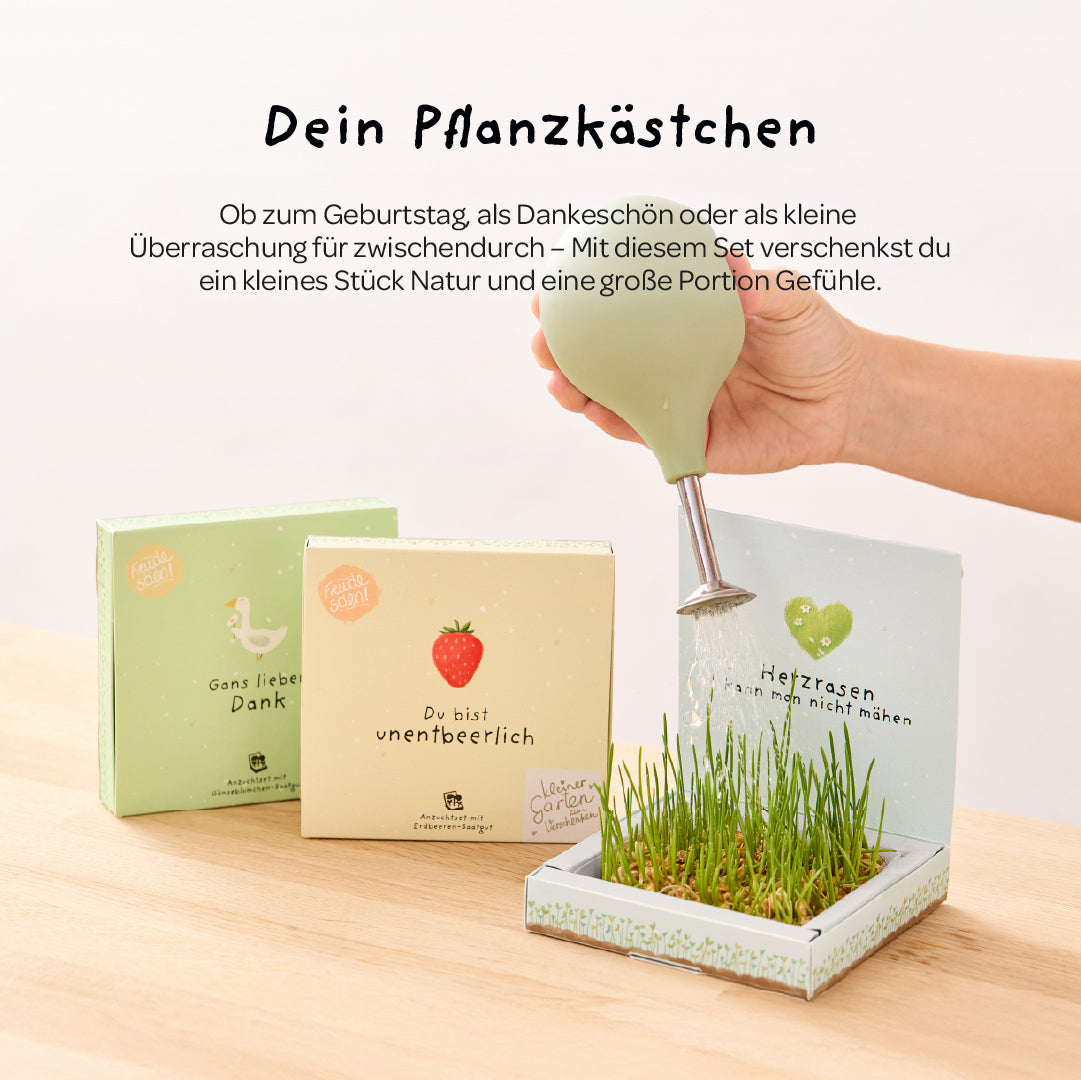 Pflanzkästchen - Viel Erfolg du Glückskind