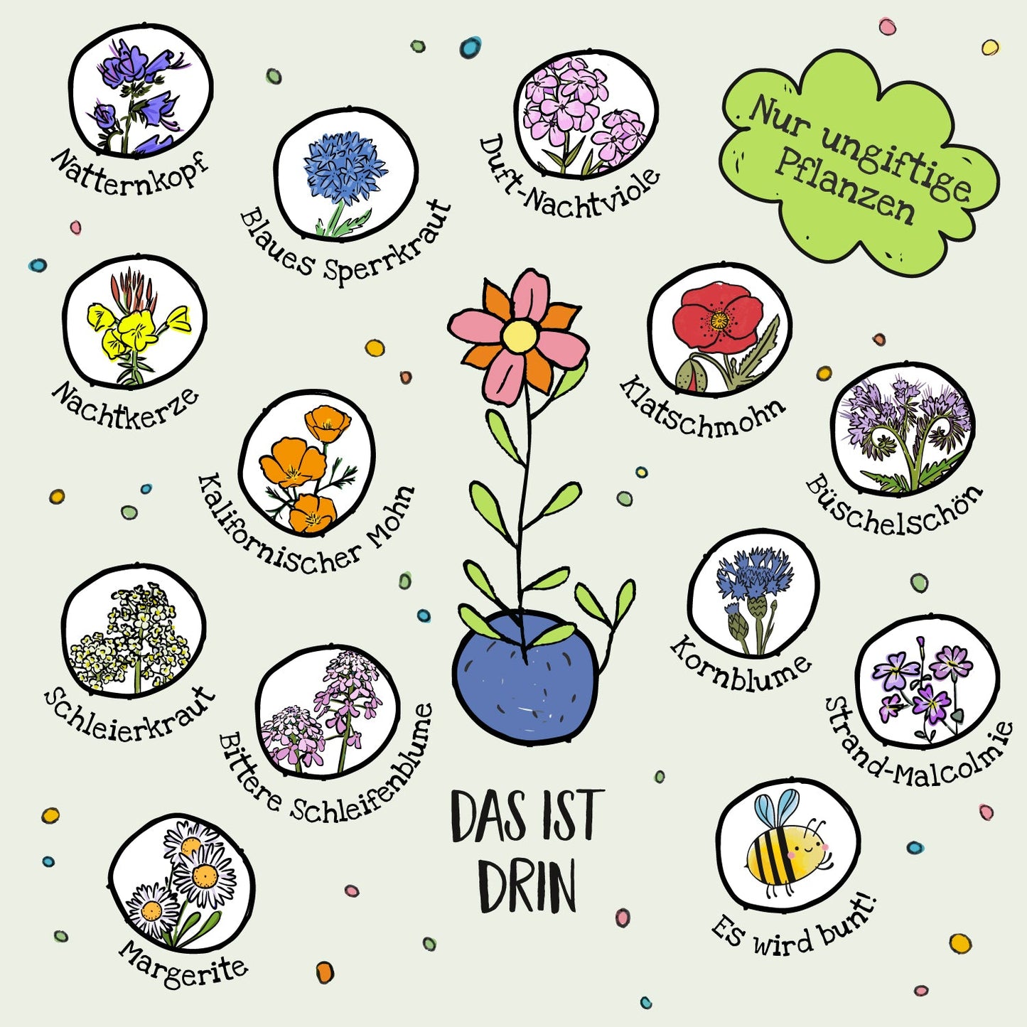 10x5 Blumenmurmeln im Tütchen "Hase mit Möhren"