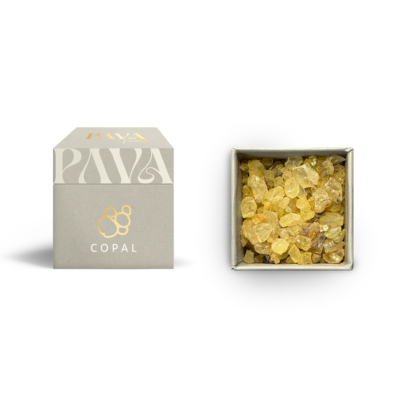 Copal-Web - Flow of Passion