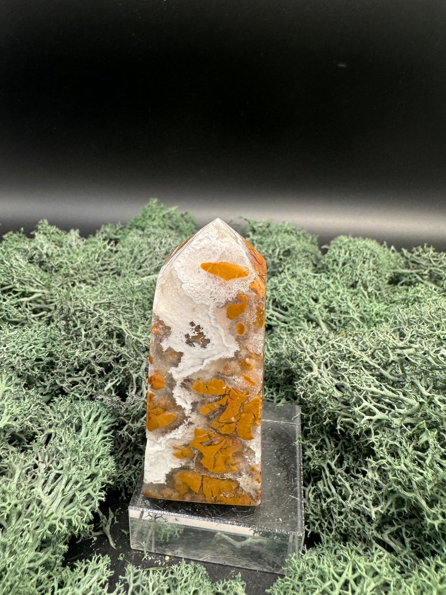 IMG-3556 - Flow of Passion