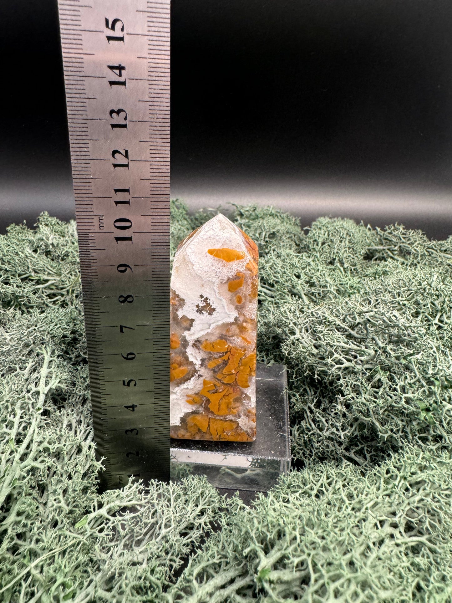 IMG-3558 - Flow of Passion