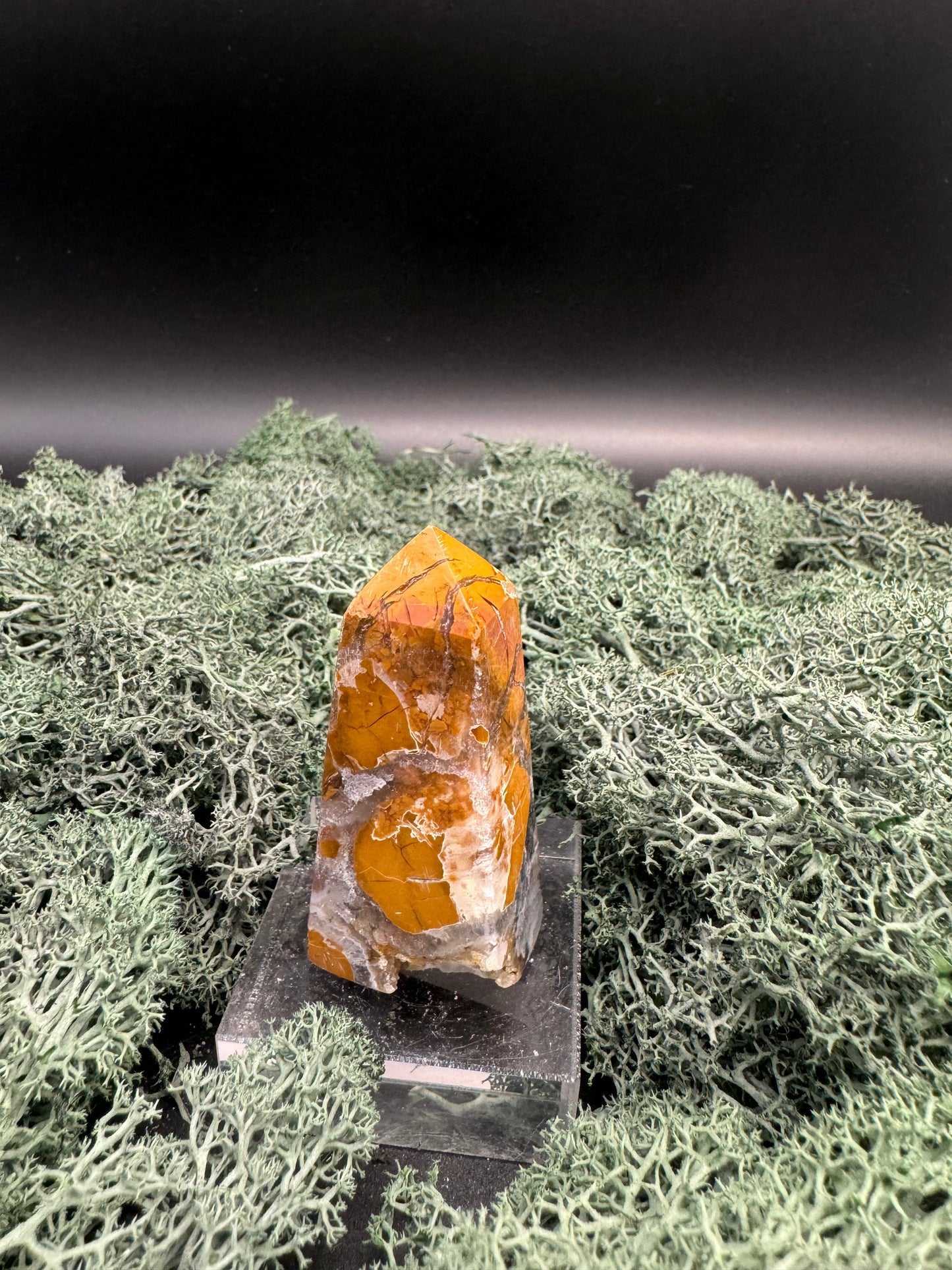 IMG-3559 - Flow of Passion