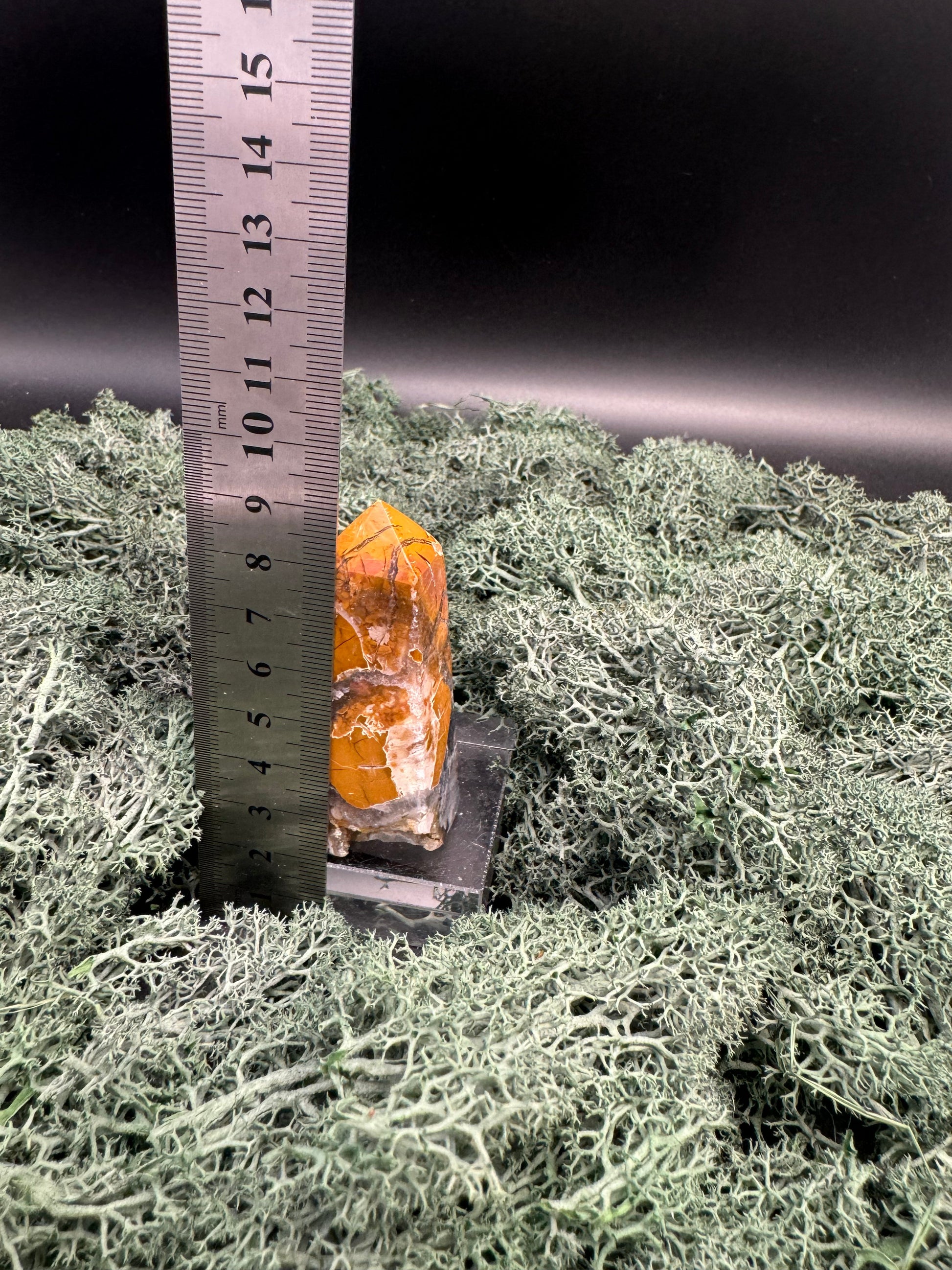 IMG-3560 - Flow of Passion