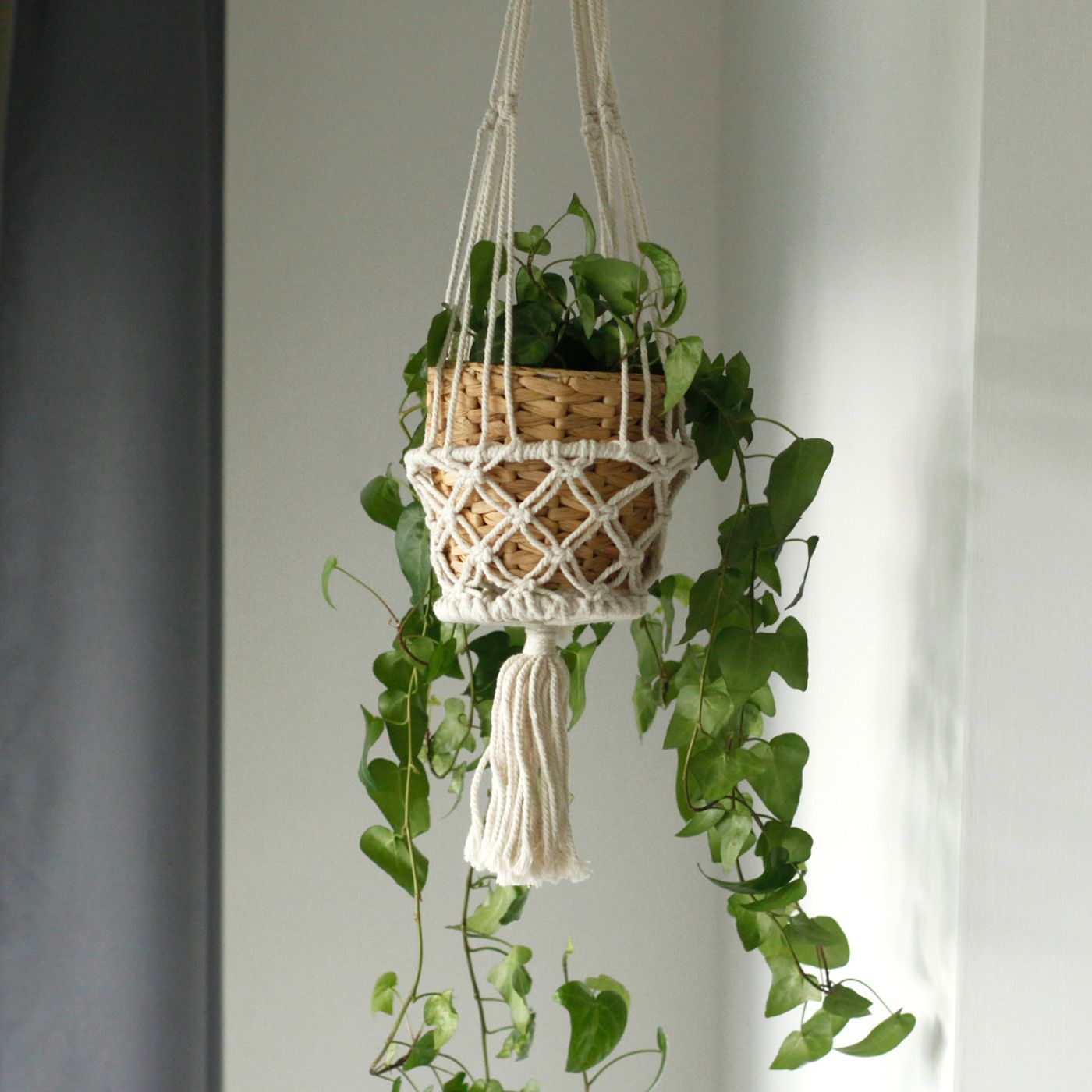 Ein Makramee-Blumentopfhalter mit zwei Pflanzen und Quaste.