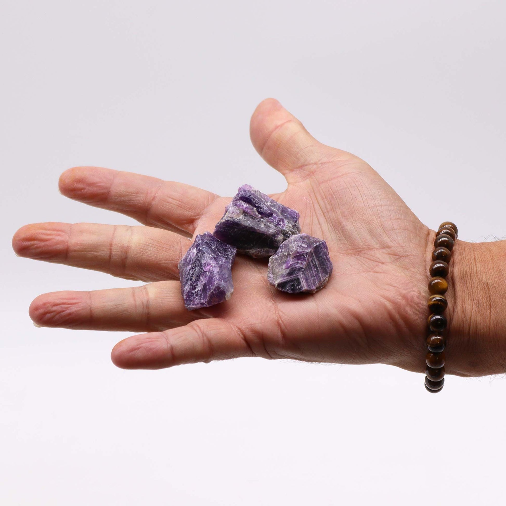 Hand holding three raw purple amethyst stones.