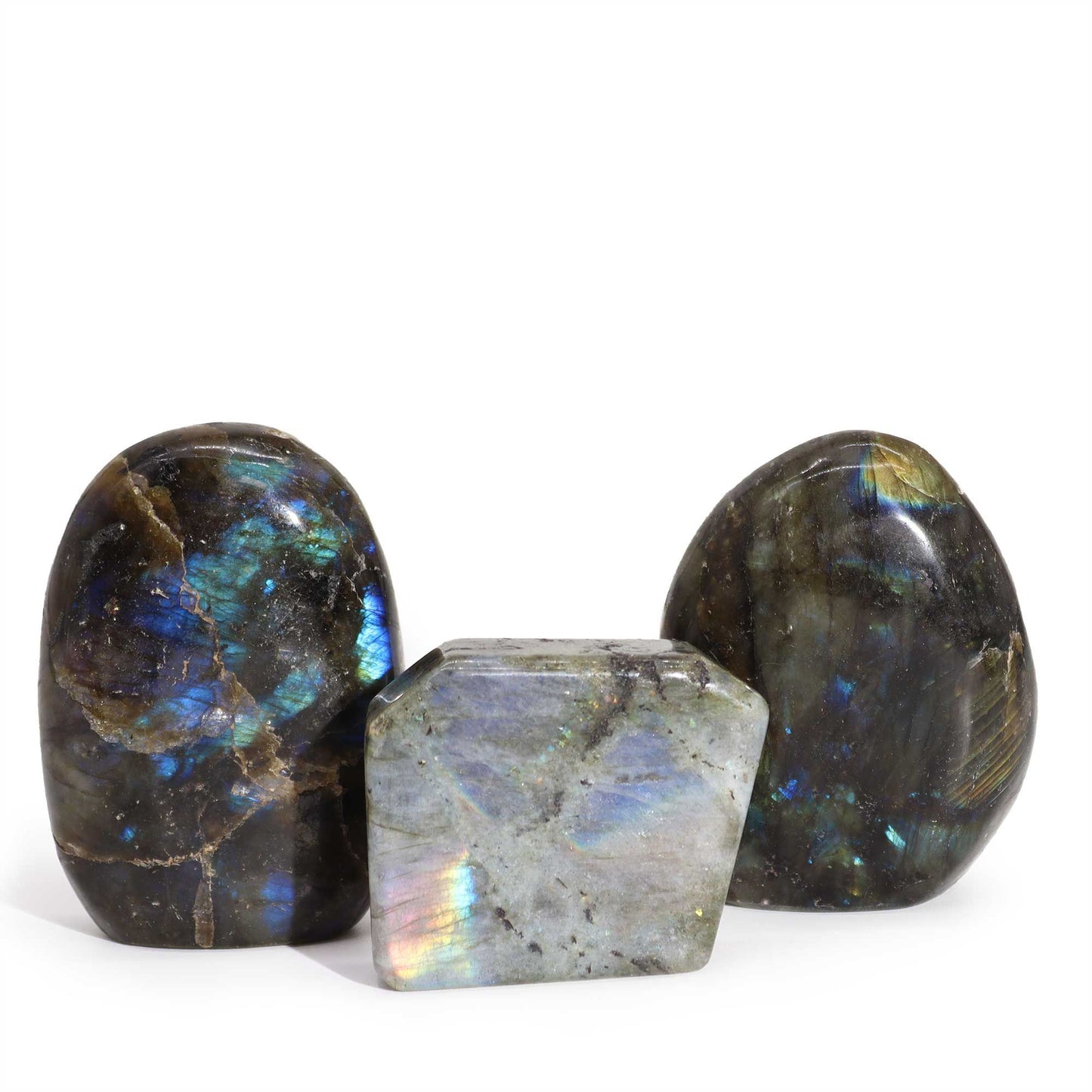 Drei polierte Labradorit-Trommelsteine mit blau-grüner und silberner Irisierung.