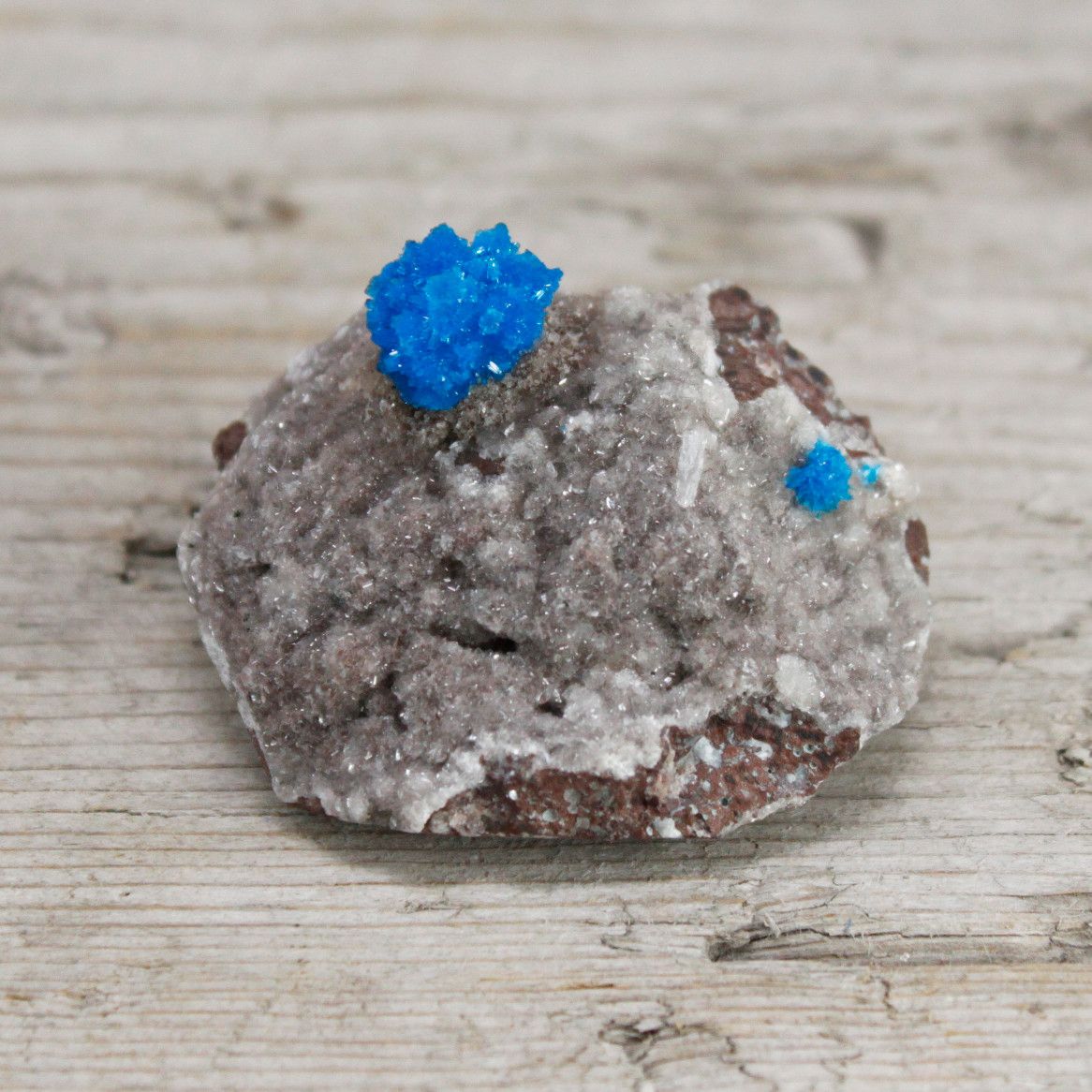 A cluster of bright blue cavansite crystals sits atop a rough, greyish-brown mineral specimen.