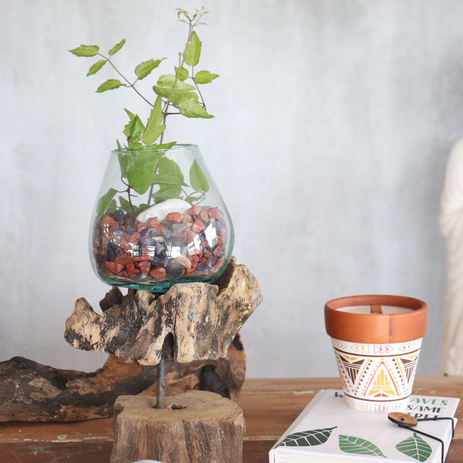 Molten glass bowl with plant on a rustic wood stand.