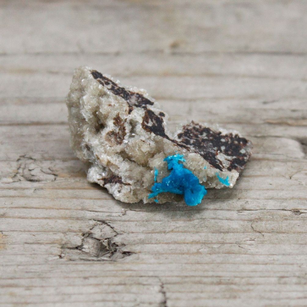 A rough mineral specimen with bright blue cavensite crystals on a light-colored matrix.