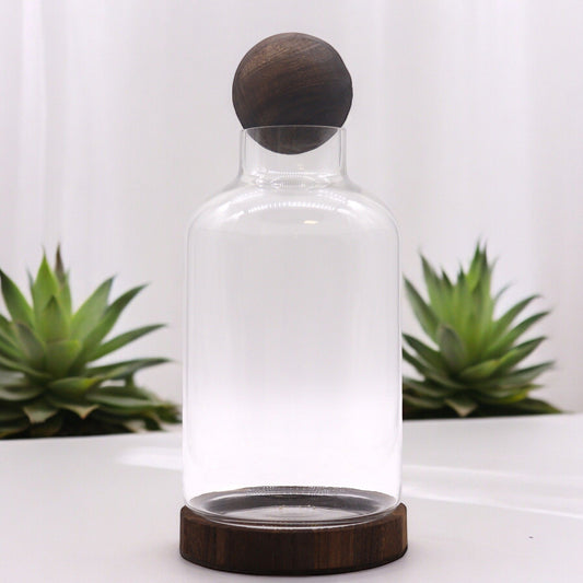 Large glass terrarium with a dark wood ball top and base.