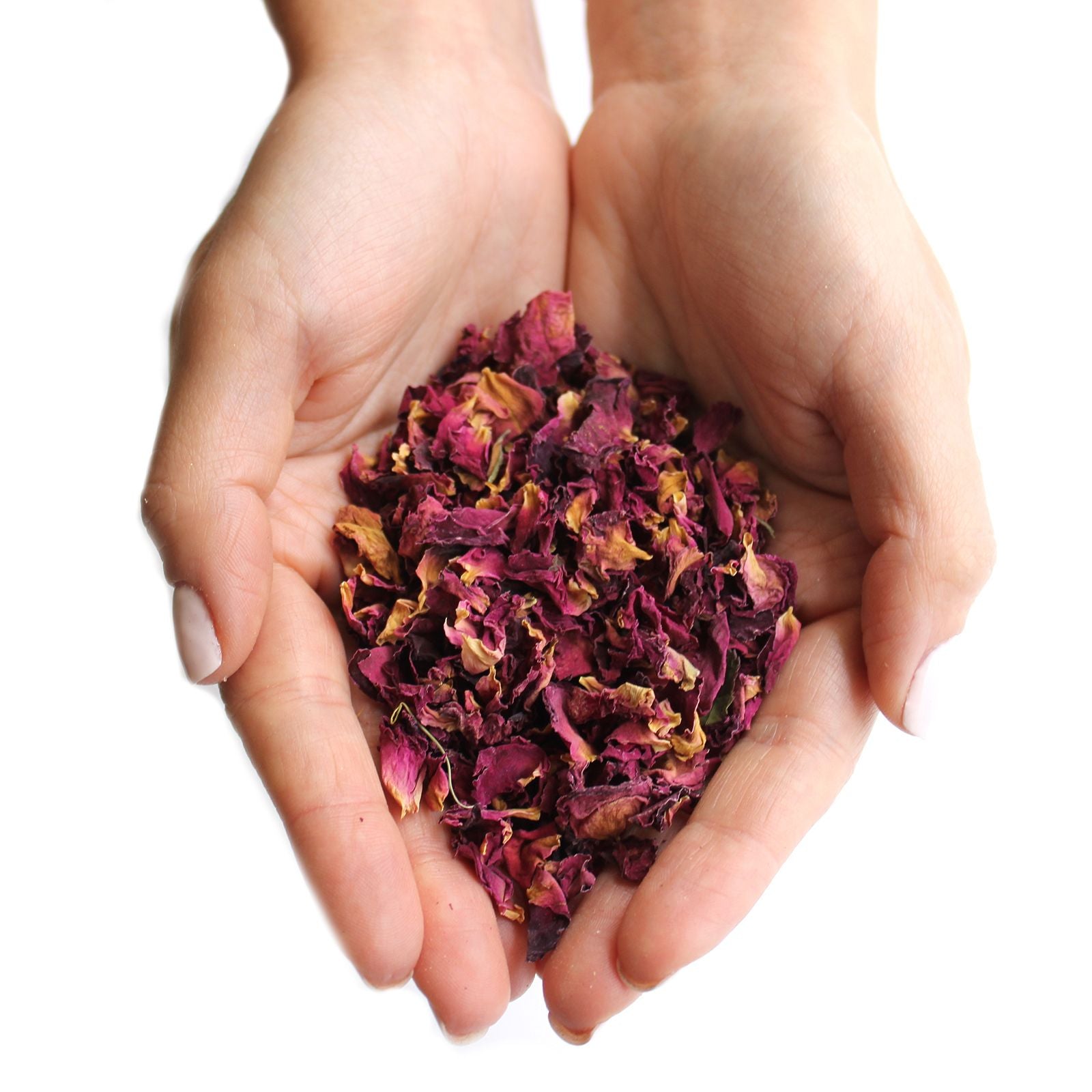 Hands holding dried rose petals.