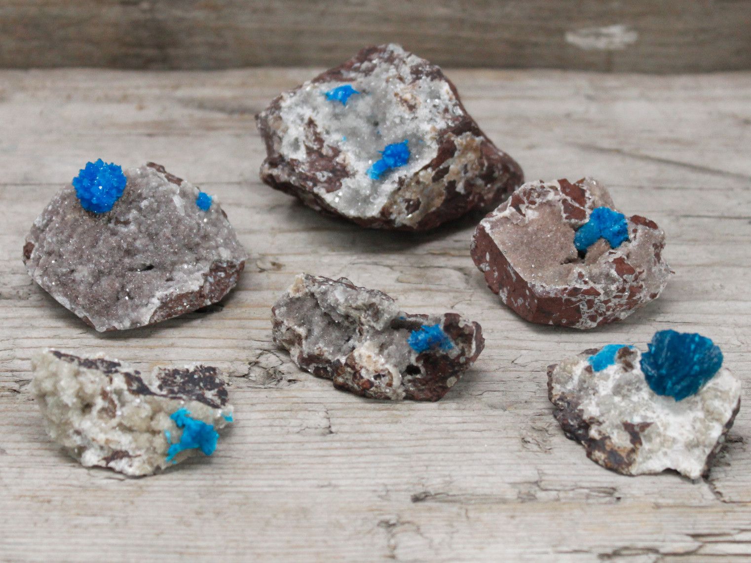 Five rough mineral specimens with bright blue cavensite crystals.