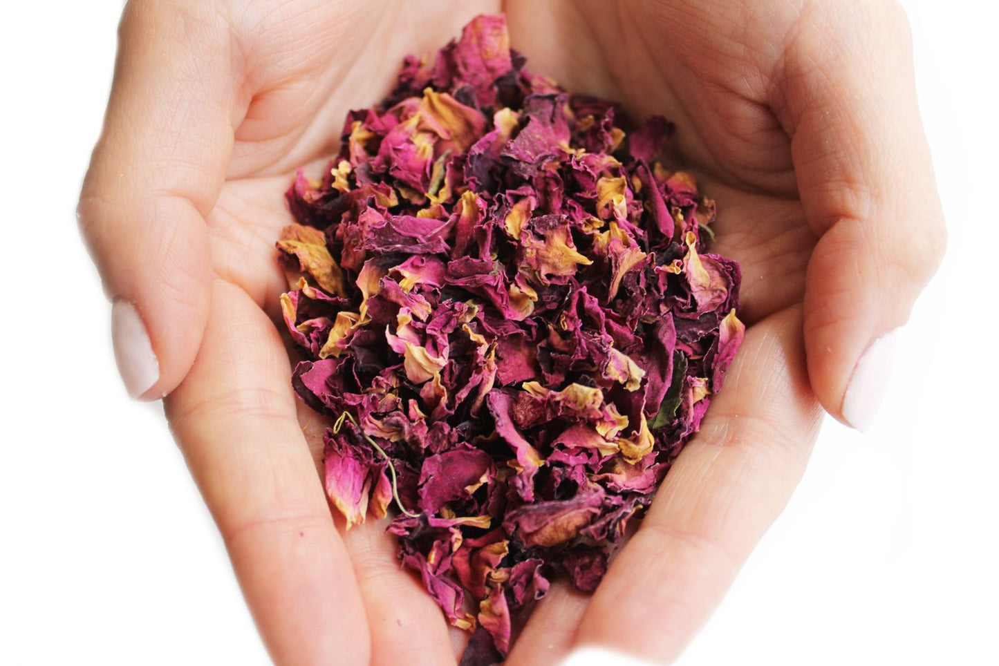 Hands holding dried rose petals in shades of pink and yellow.