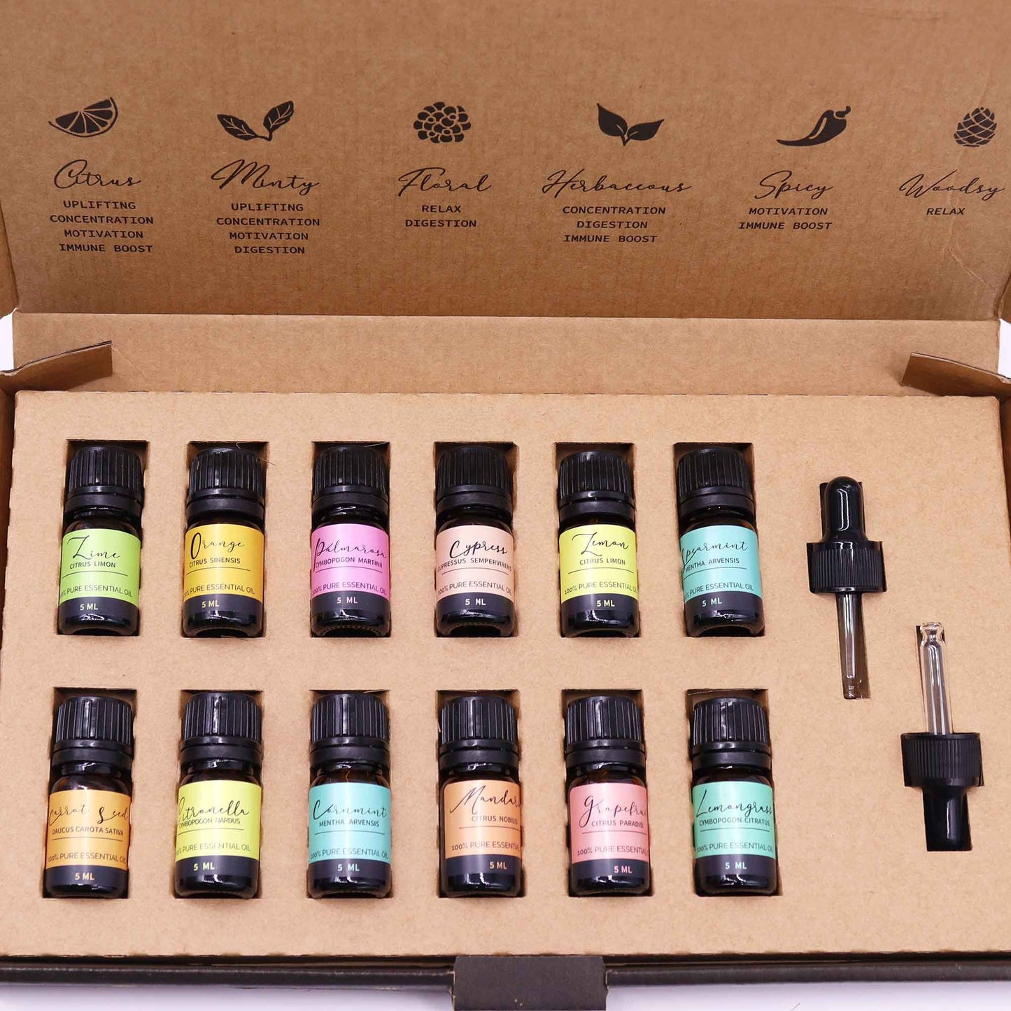 Aromatherapie ätherische Öle Sommer-Set 12 × 5 ml inklusive zwei Pipetten