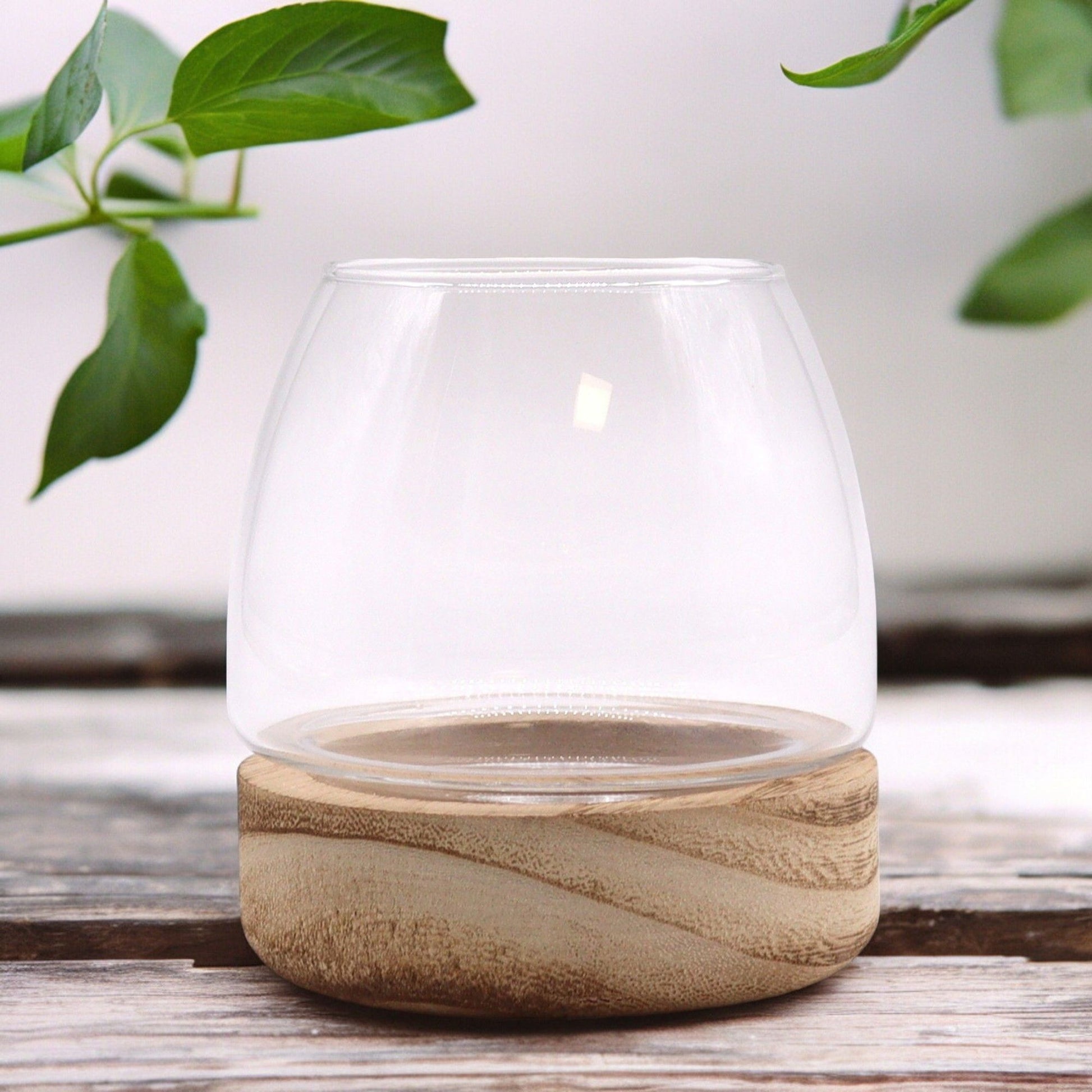 Mini terrarium with a clear glass dome on a natural tung wood base.