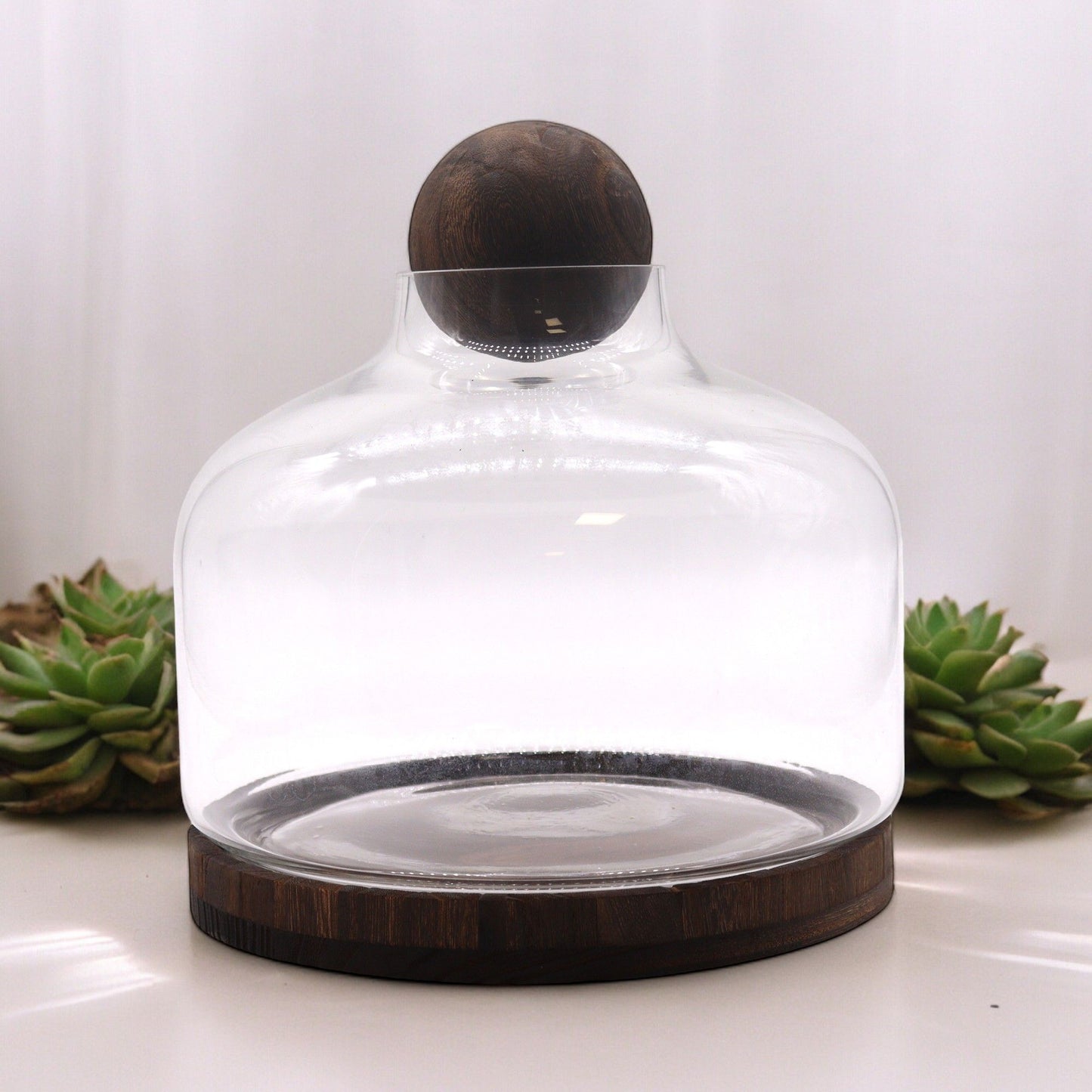 Extra large glass terrarium with a dark wood base and ball top.