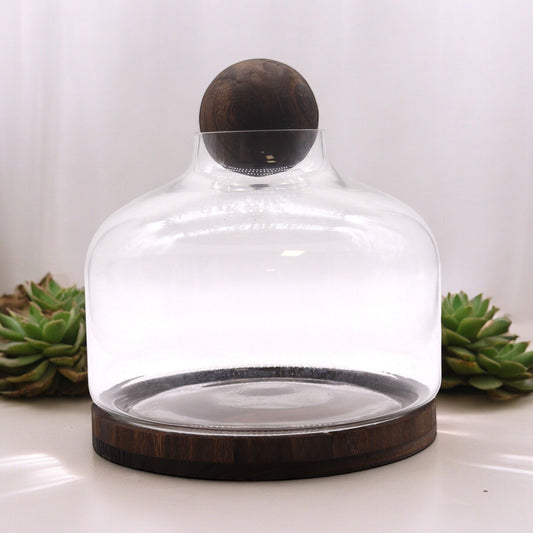 Extra large glass terrarium with a dark wood base and ball top.