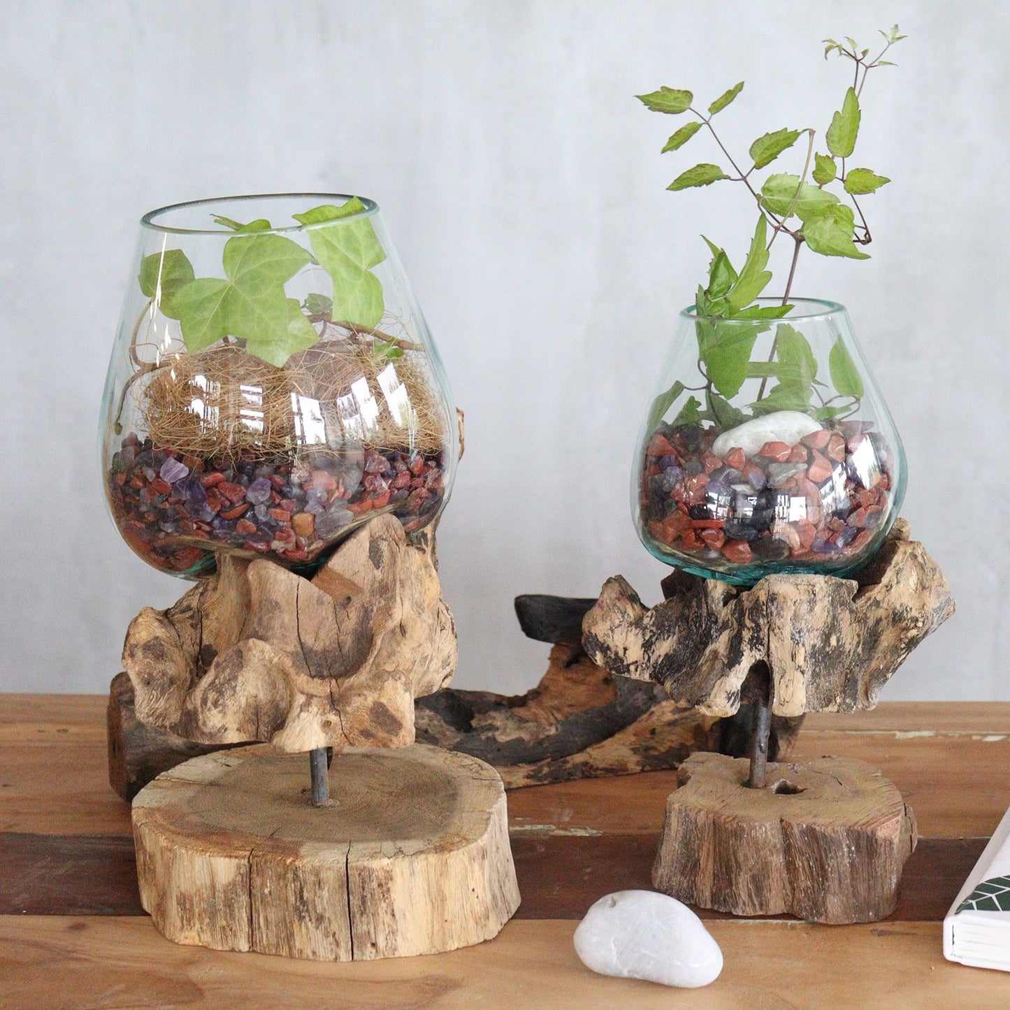Molten glass bowl with plants on a rustic wood stand.