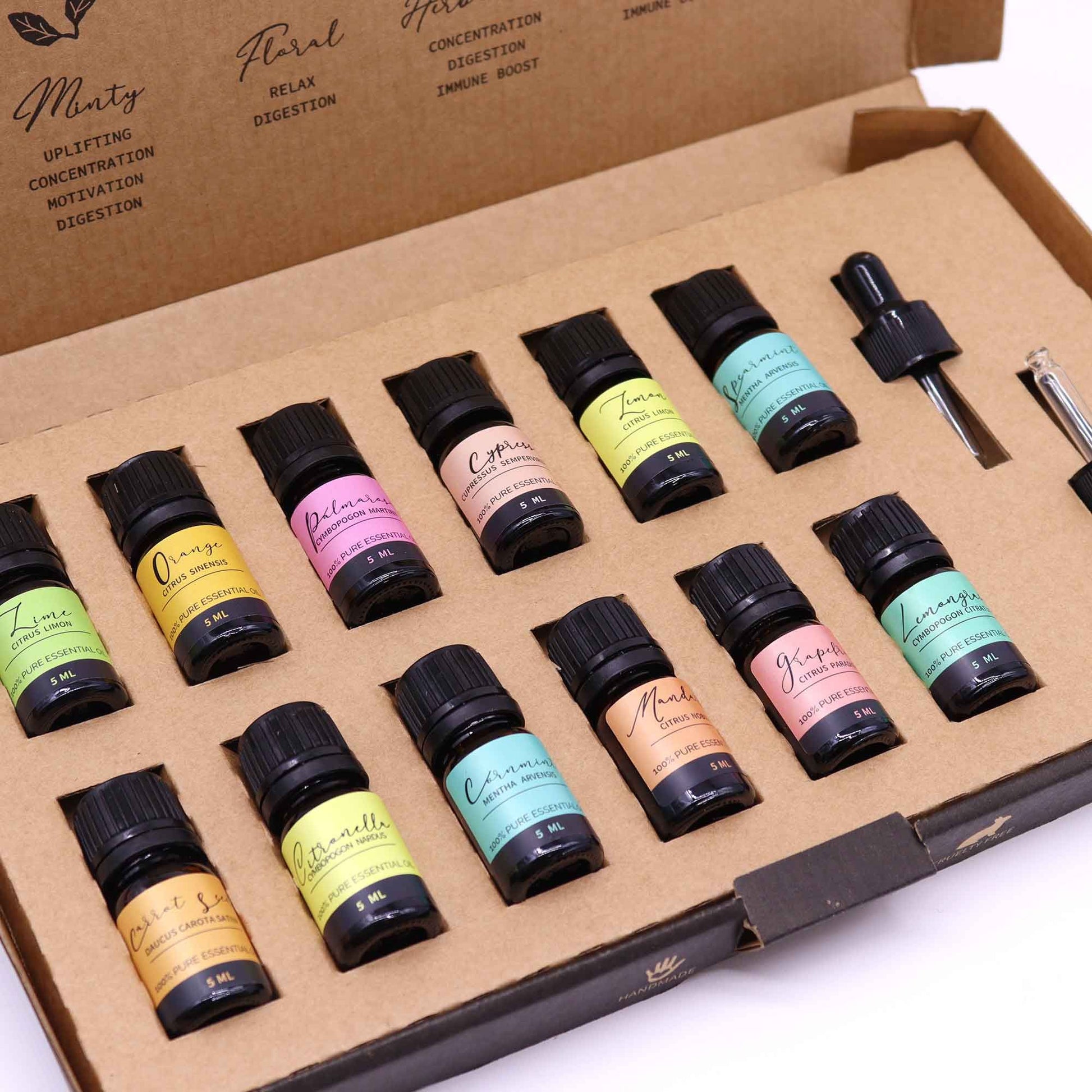 Aromatherapie ätherische Öle Sommer-Set 12 × 5 ml inklusive zwei Pipetten