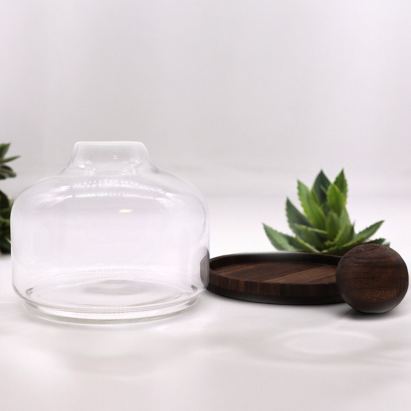 Extra large glass ball top terrarium on a dark wood base.