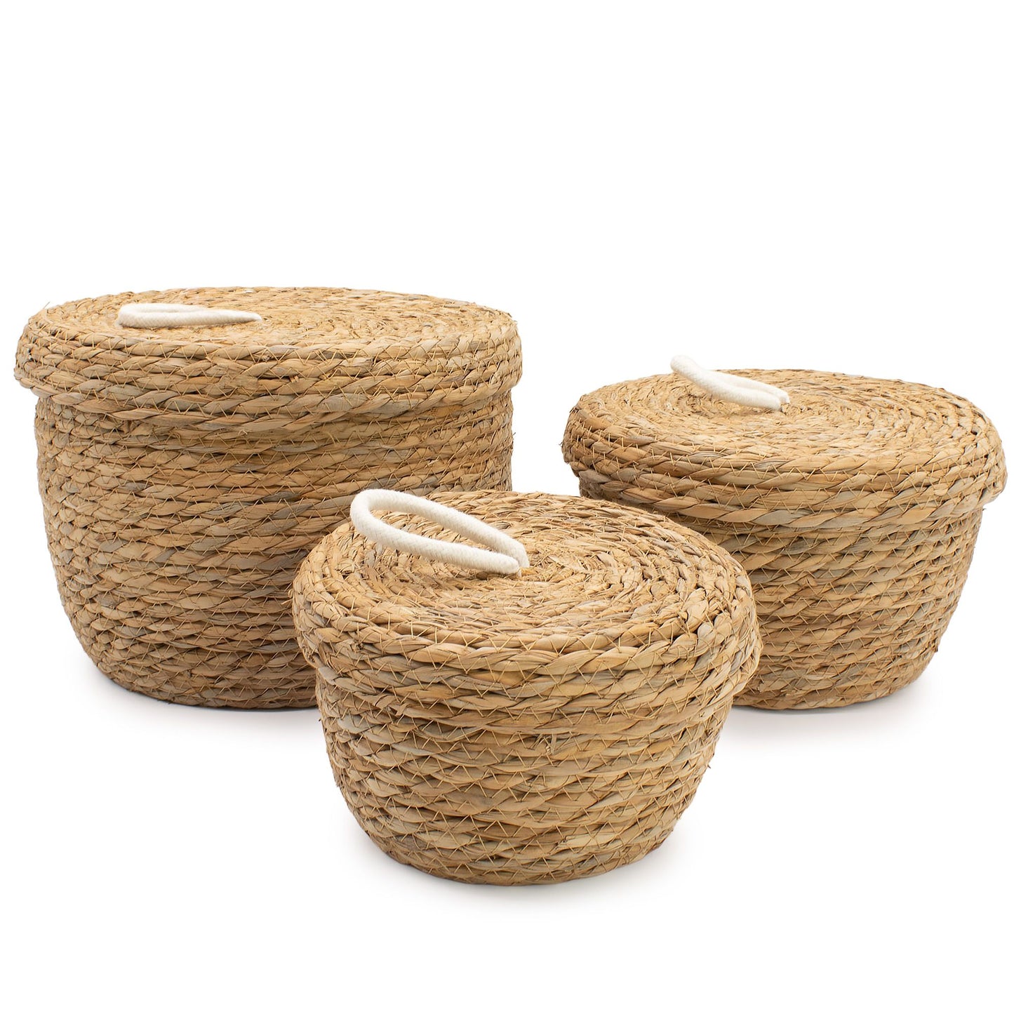 Set of 3 natural seagrass round baskets with cotton rope handles and lids.