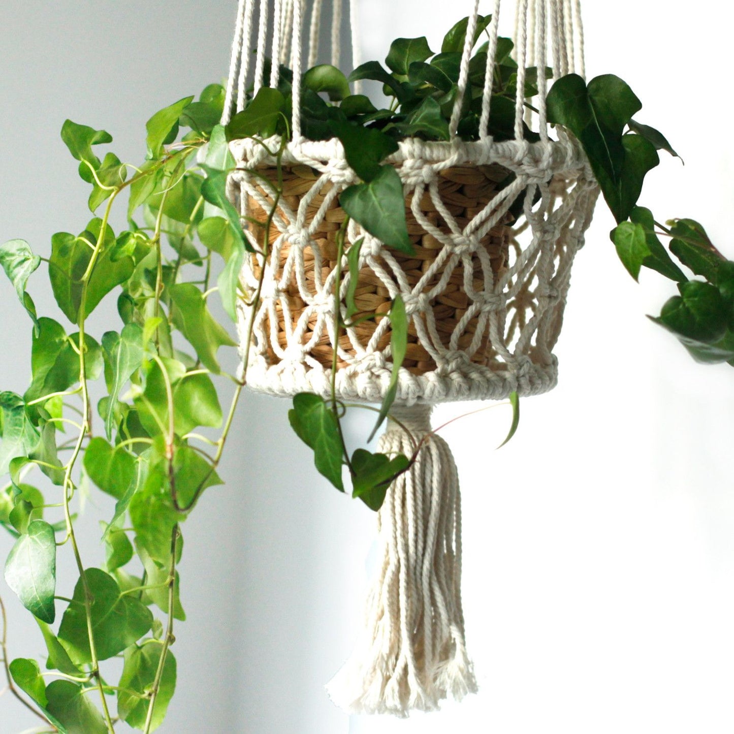 Doppel-Blumentopfhalter aus Makramee mit einer grünen Pflanze.