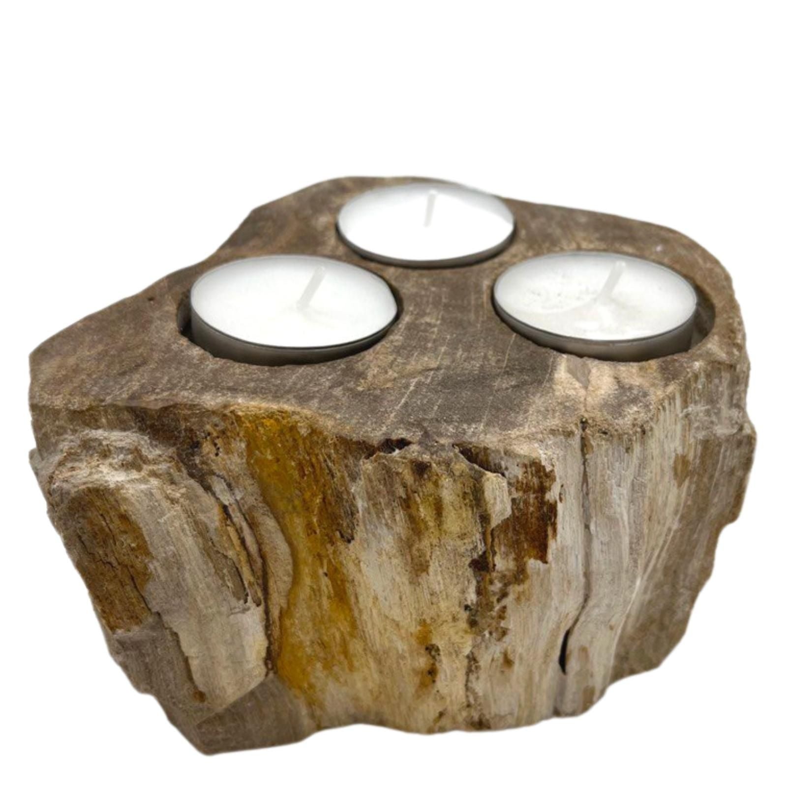 Versteinerter Holz-Teelichthalter mit drei Kerzen.