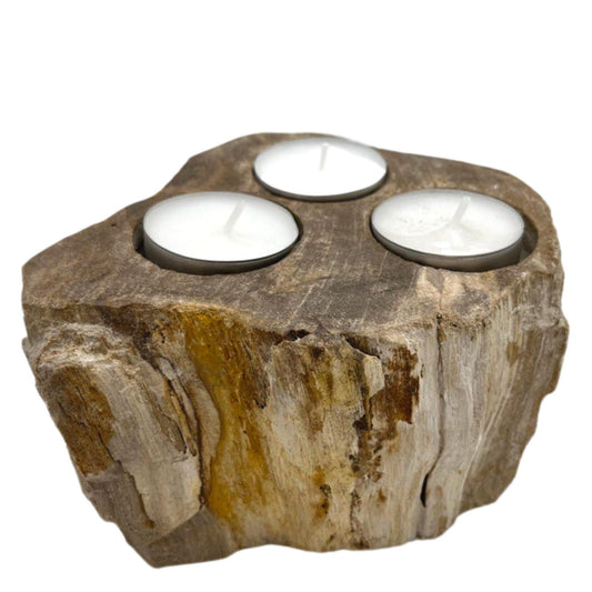 Versteinerter Holz-Teelichthalter mit drei Kerzen.