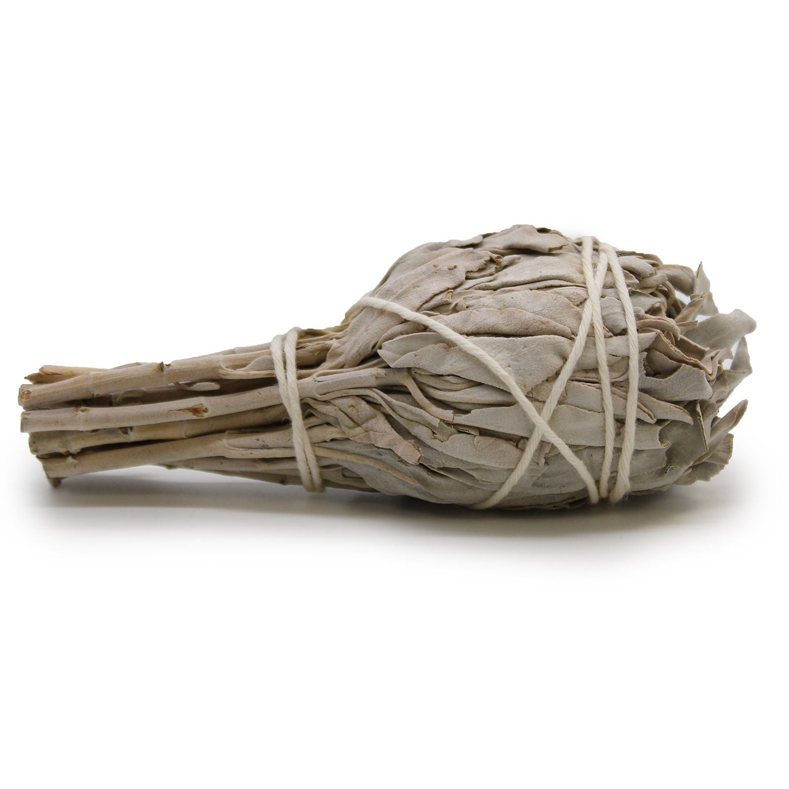Ein 10 cm langer weißer Salbei Smudge Stick, gebunden mit Schnur.