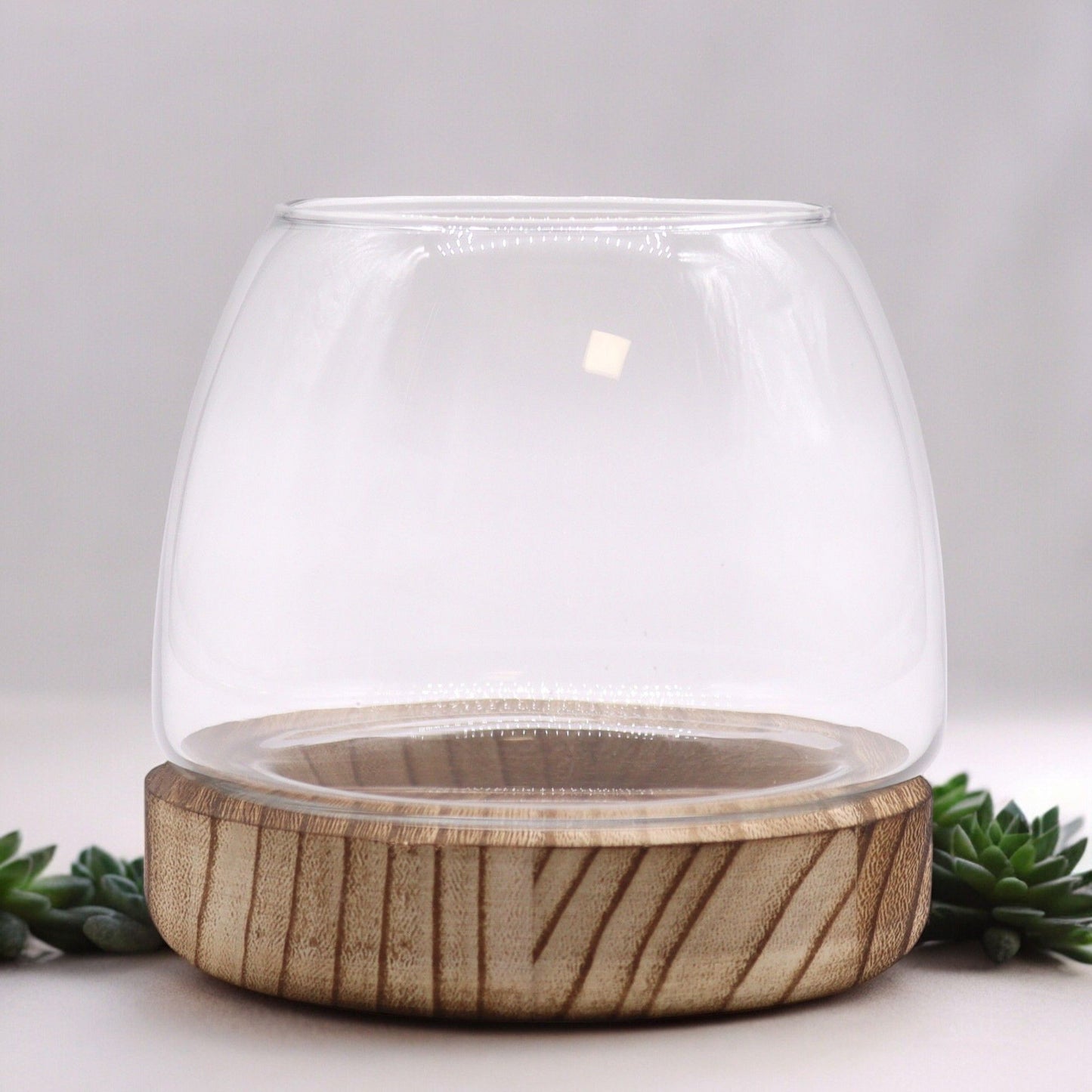 Small glass terrarium with a natural wood base.