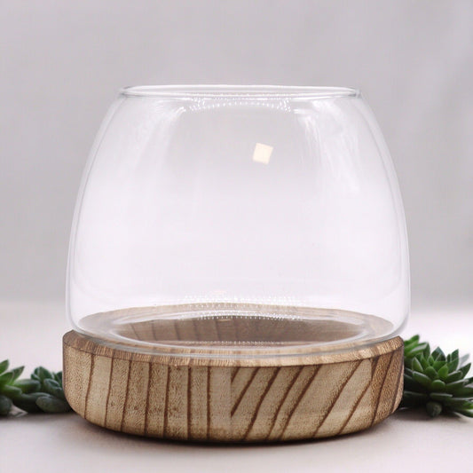 Small glass terrarium with a natural wood base.