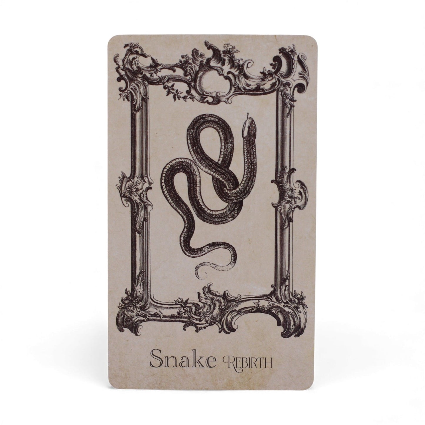 Eine Tarotkarte mit einer Schlange und dem Text "Snake Rebirth".