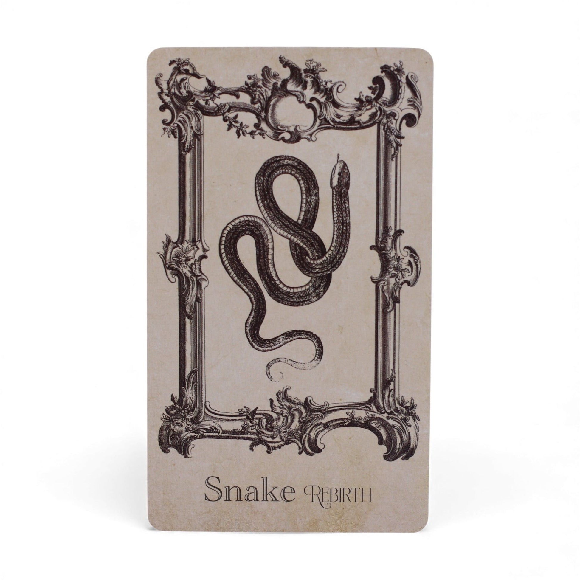 Eine Tarotkarte mit einer Schlange und dem Text "Snake Rebirth".