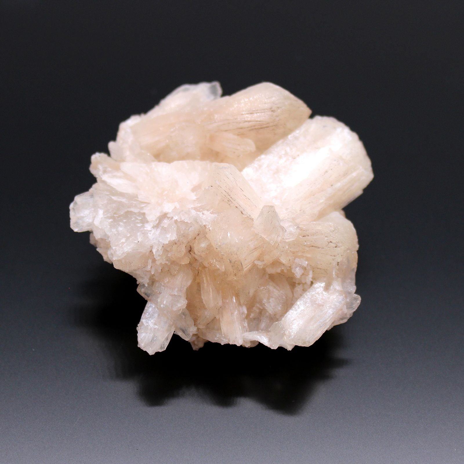 Ein Cluster aus blassrosa Stilbit-Kristallen mit Apophyllit auf schwarzem Hintergrund.
