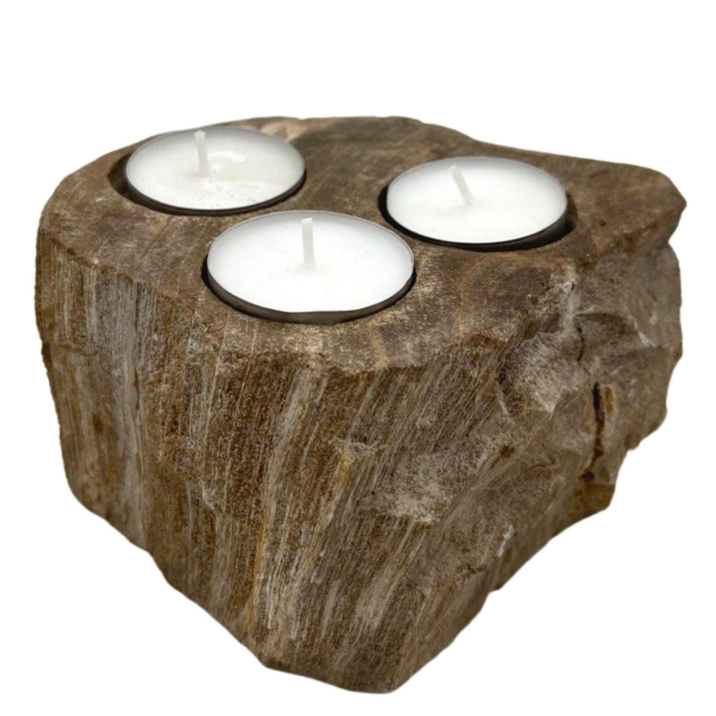 Versteinertes Holz Teelichthalter mit drei Kerzen