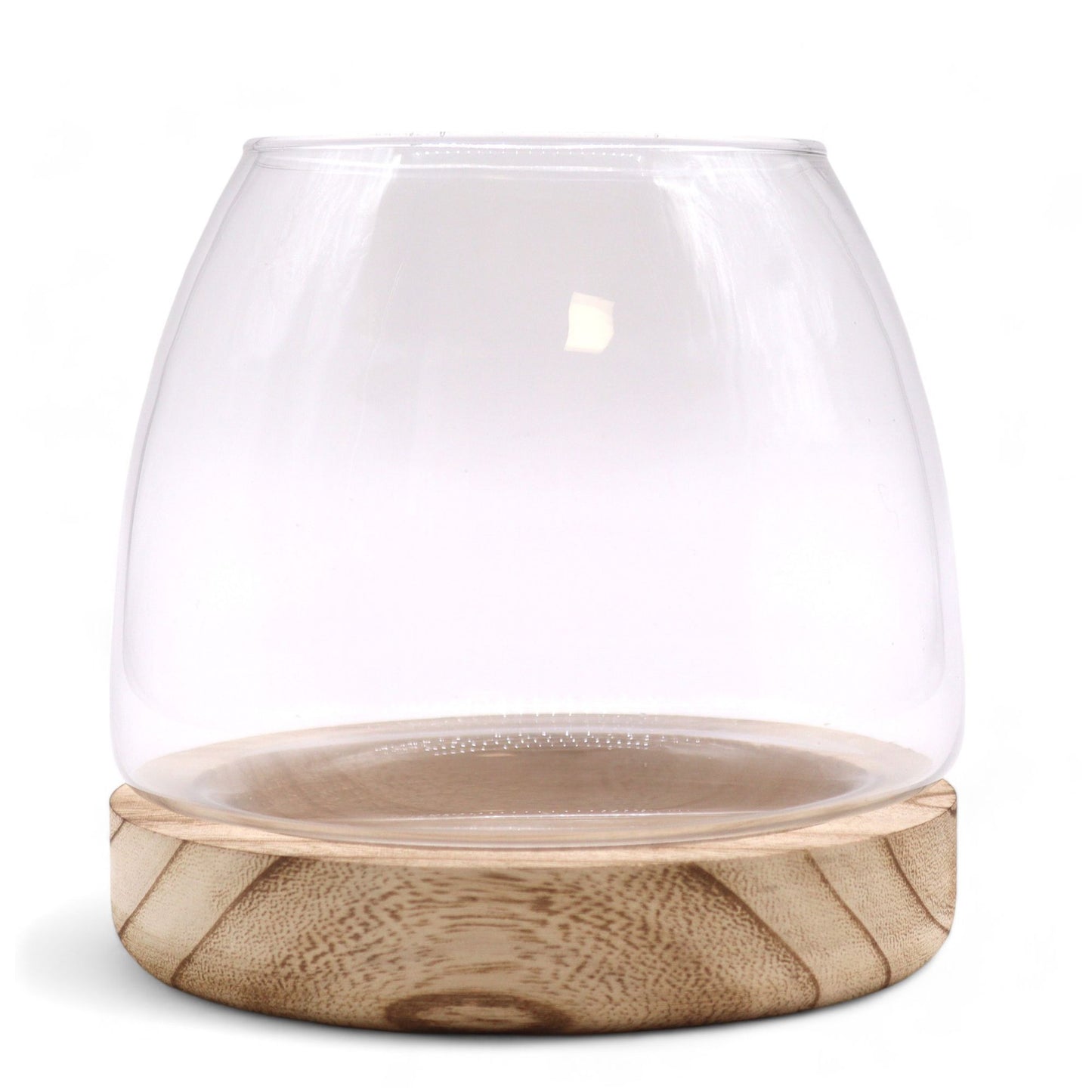 Glass terrarium with a natural wood base.
