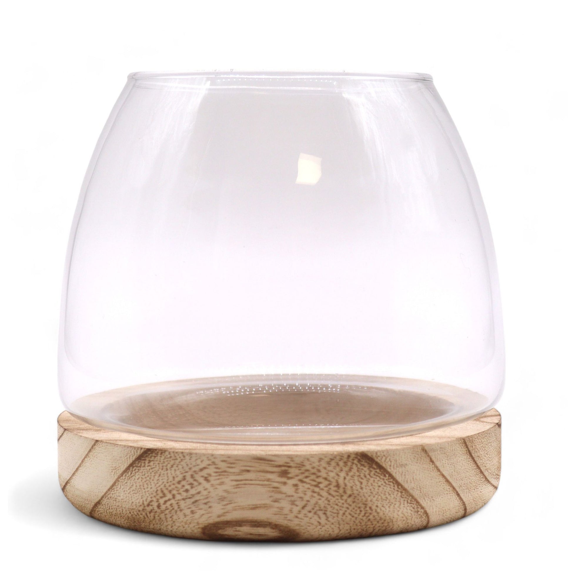 Glass terrarium with a natural wood base.
