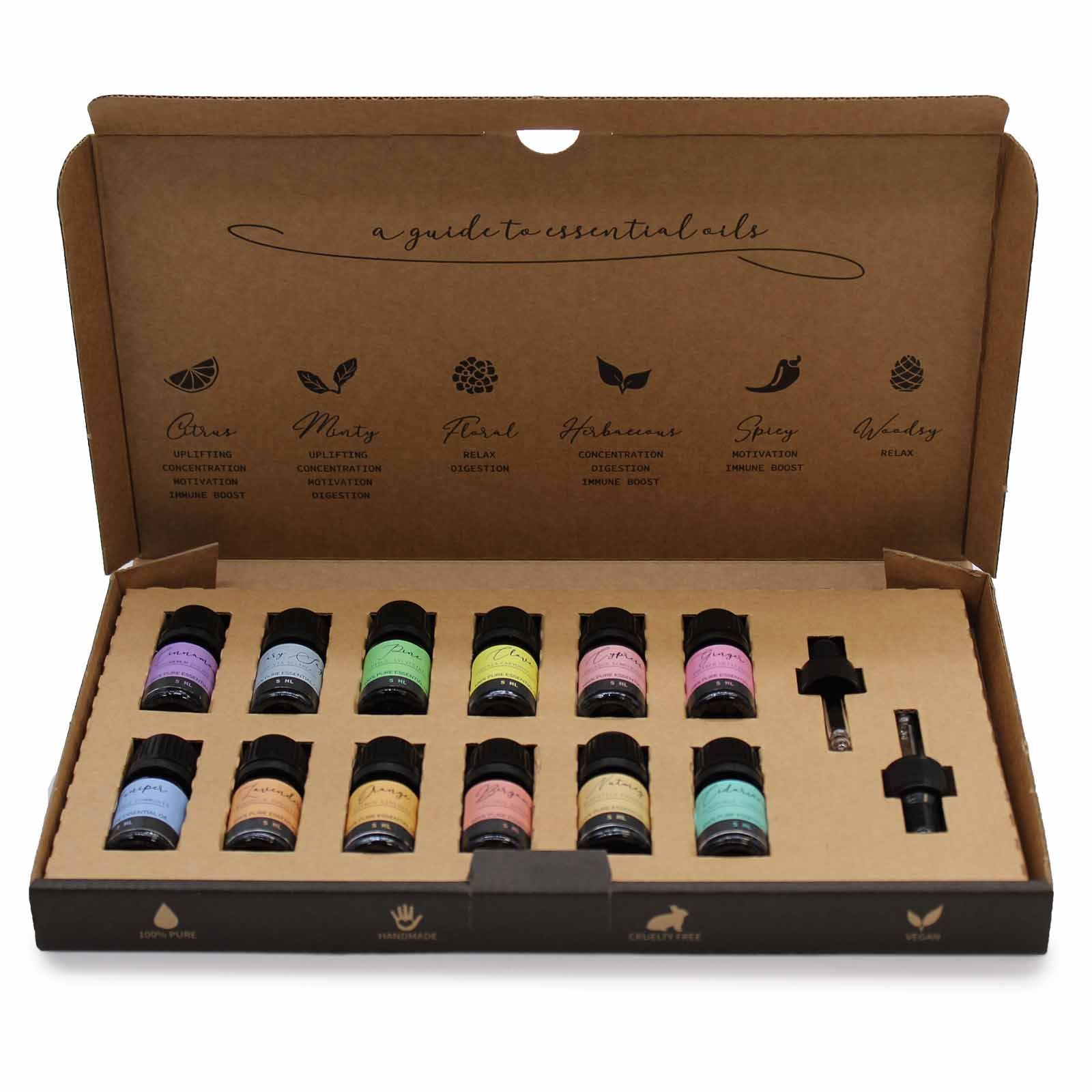 Aromatherapie ätherische Öle Set mit 12 Fläschchen und 2 Pipetten.