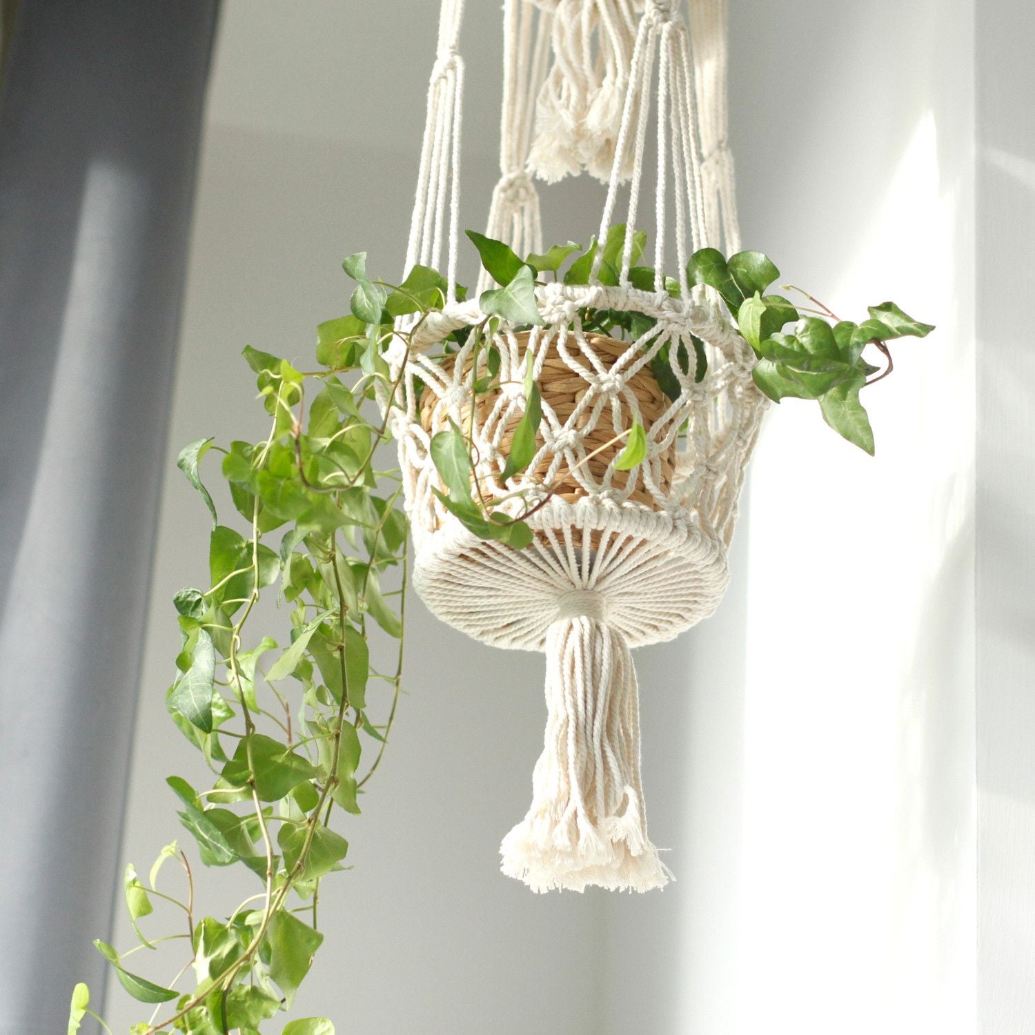 Doppel-Makramee-Blumentopfhalter mit hängender grüner Pflanze.