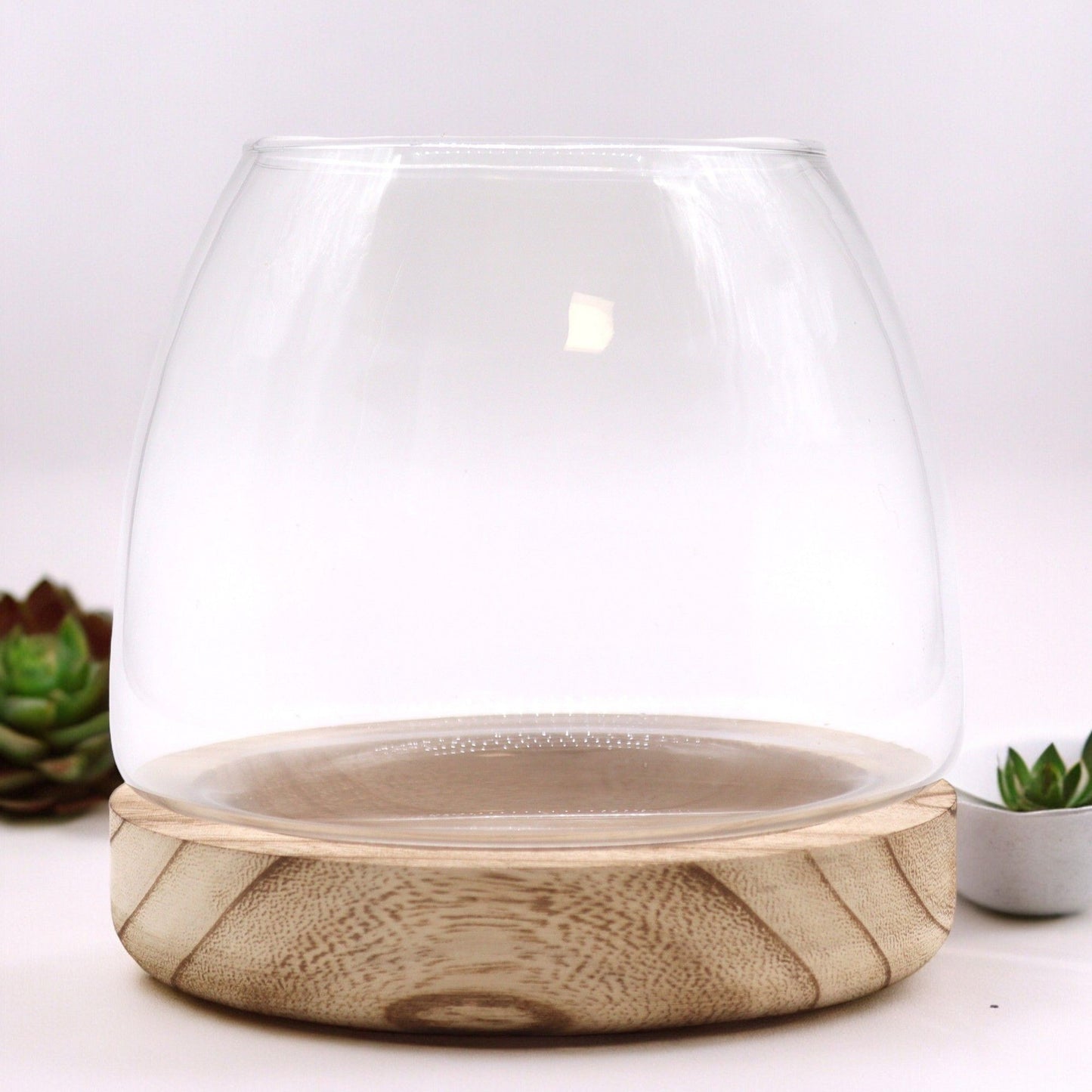 Medium glass terrarium with a natural tung wood base.