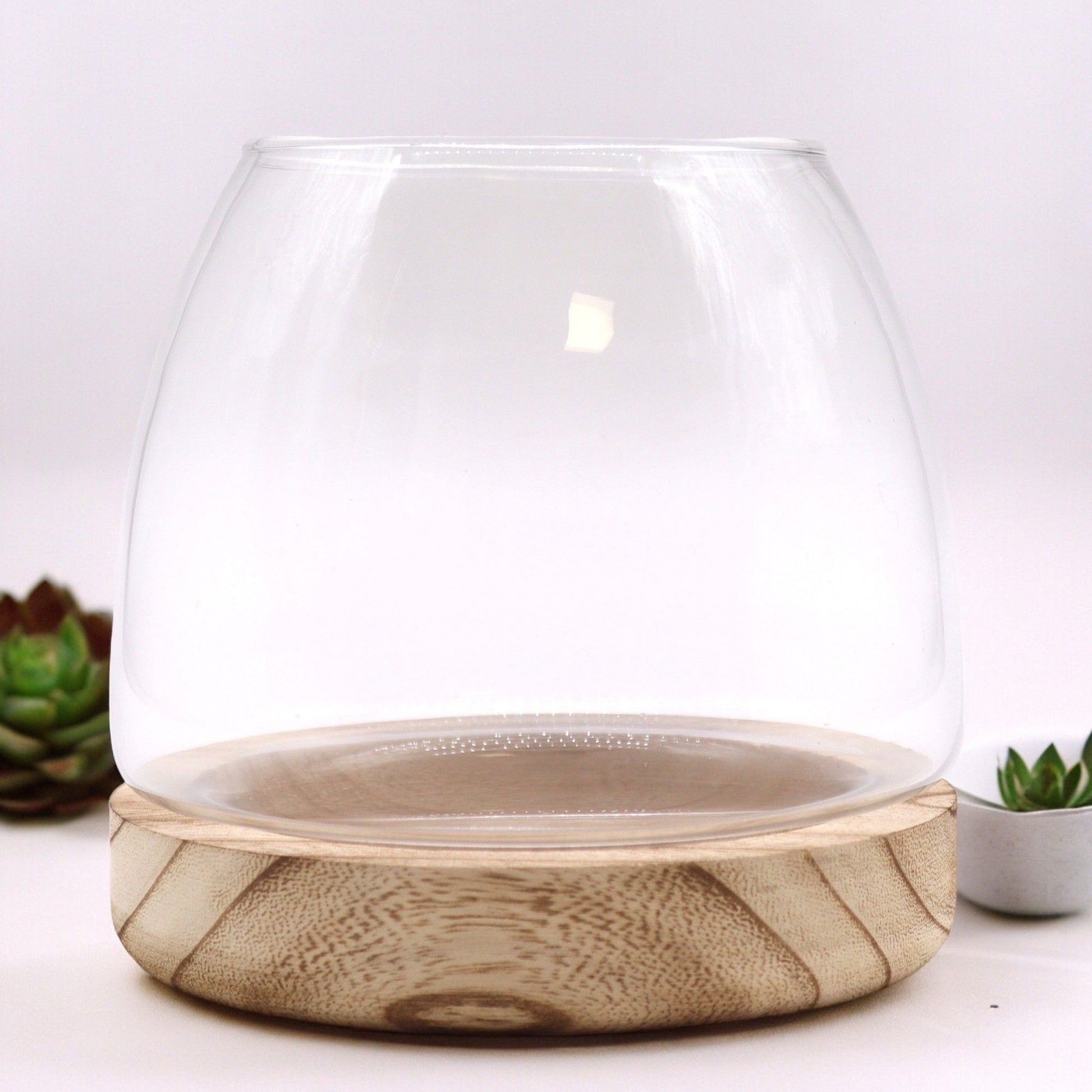Medium glass terrarium with a natural tung wood base.